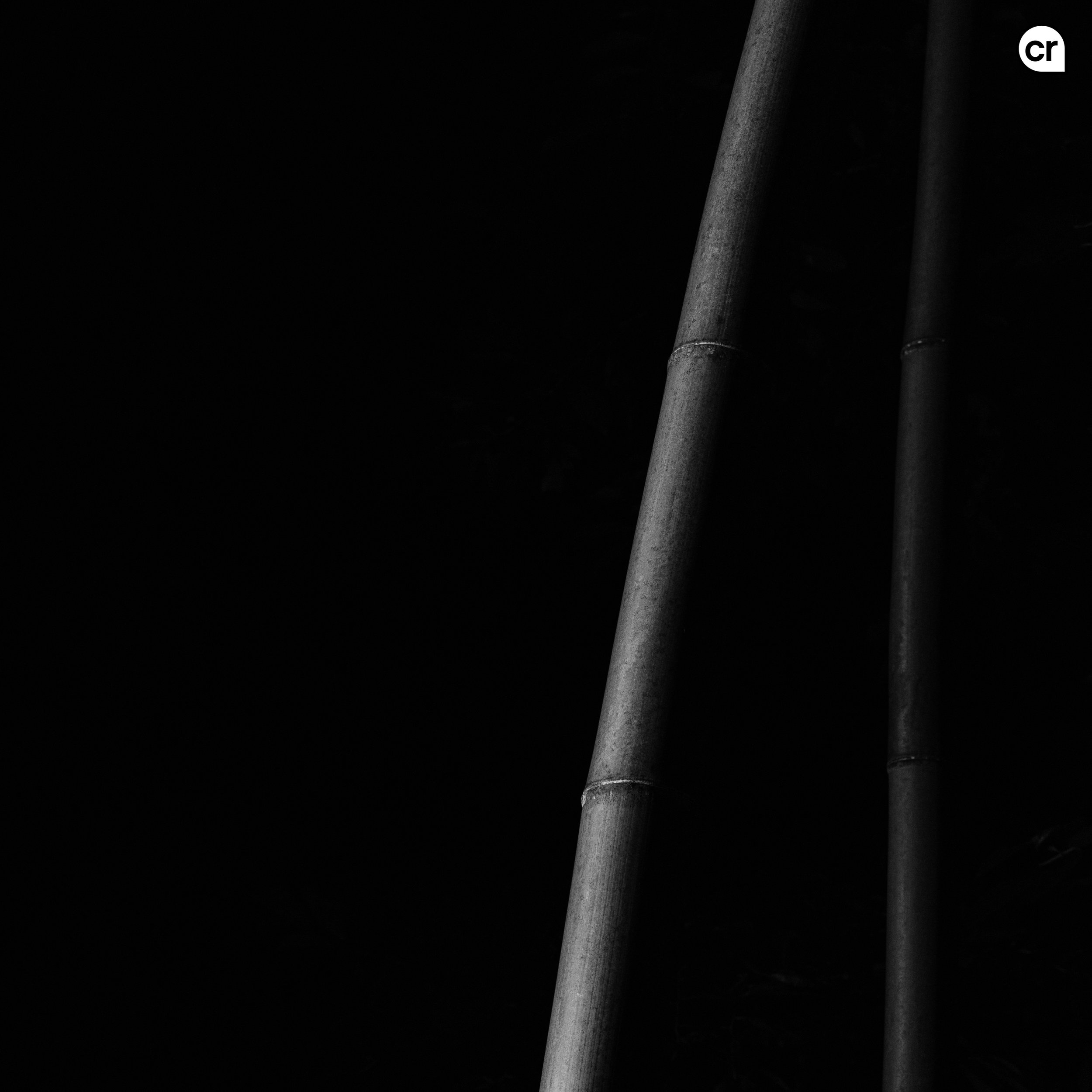 Black and white photograph of the bamboo grove at Arashiyama, Kyoto, Japan. Made by Indigenous Design and Photography Ltd.