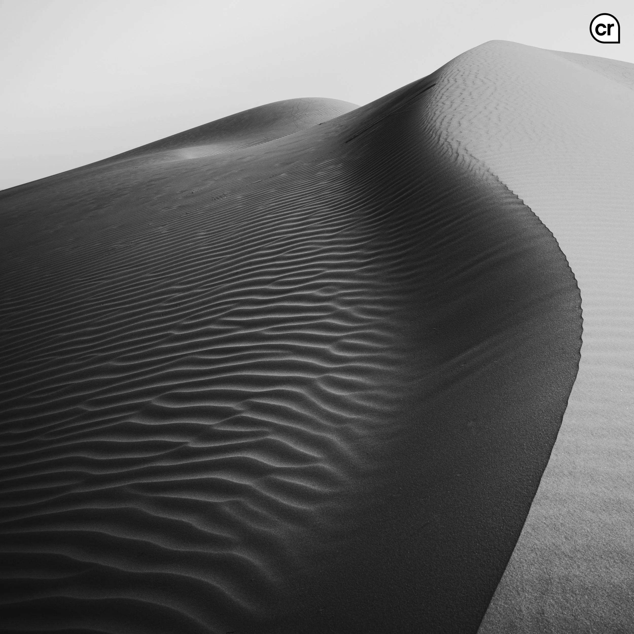 Black and white photograph of the dunes at Qasr al Sarab, Abu Dhabi, UAE. Made by Indigenous Design and Photography Ltd.