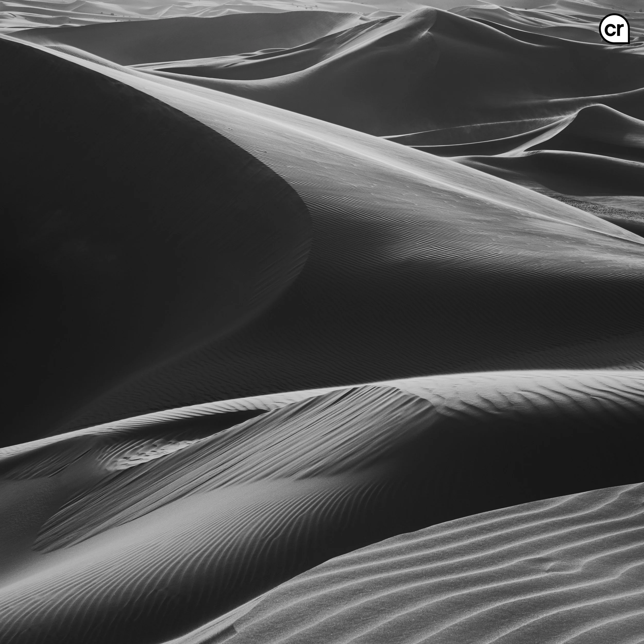 Black and white photograph of the dunes at Qasr al Sarab, Abu Dhabi, UAE. Made by Indigenous Design and Photography Ltd.