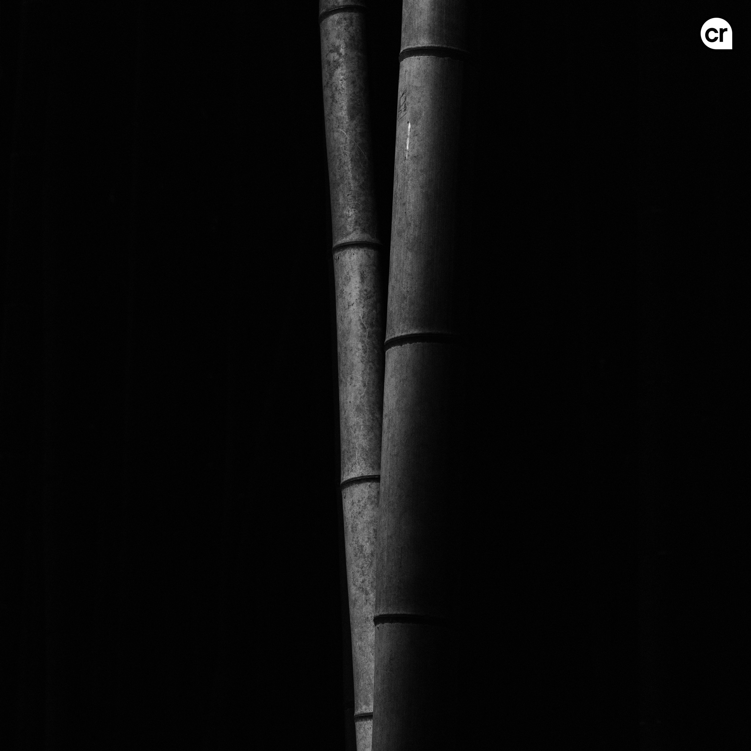 Black and white photograph of the bamboo grove at Arashiyama, Kyoto, Japan. Made by Indigenous Design and Photography Ltd.