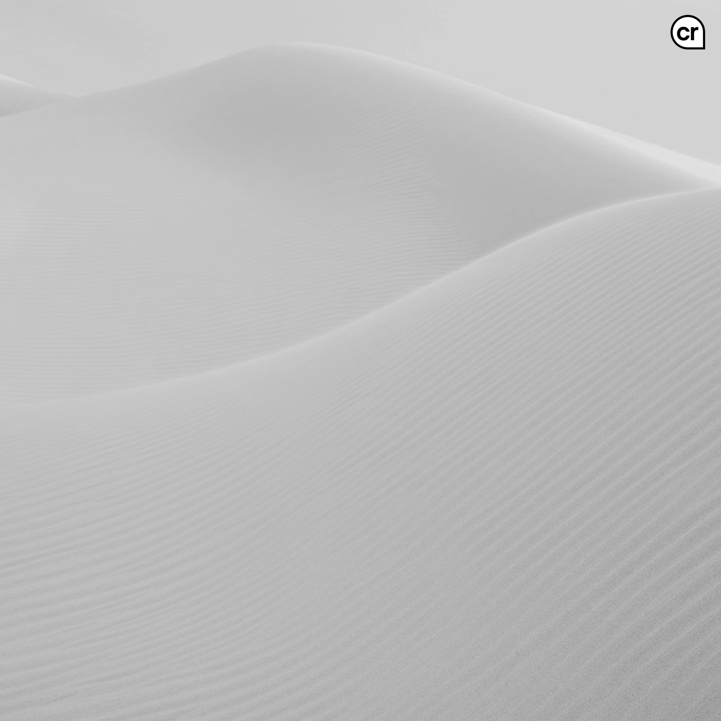 Black and white photograph of the dunes at Qasr al Sarab, Abu Dhabi, UAE. Made by Indigenous Design and Photography Ltd.