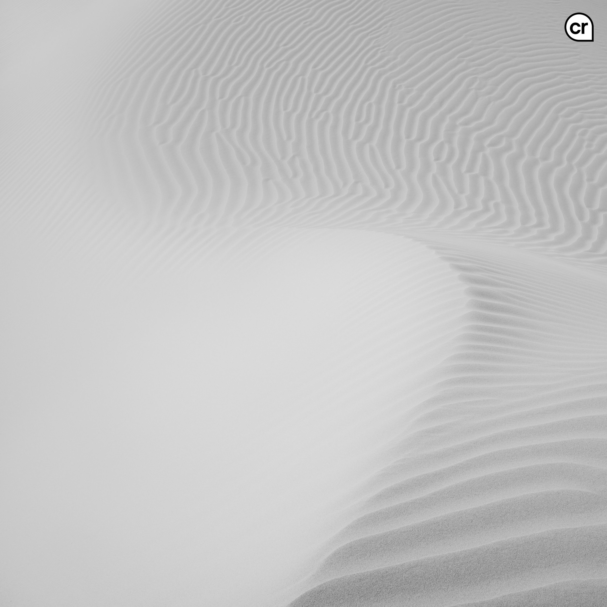Black and white photograph of the dunes at Qasr al Sarab, Abu Dhabi, UAE. Made by Indigenous Design and Photography Ltd.