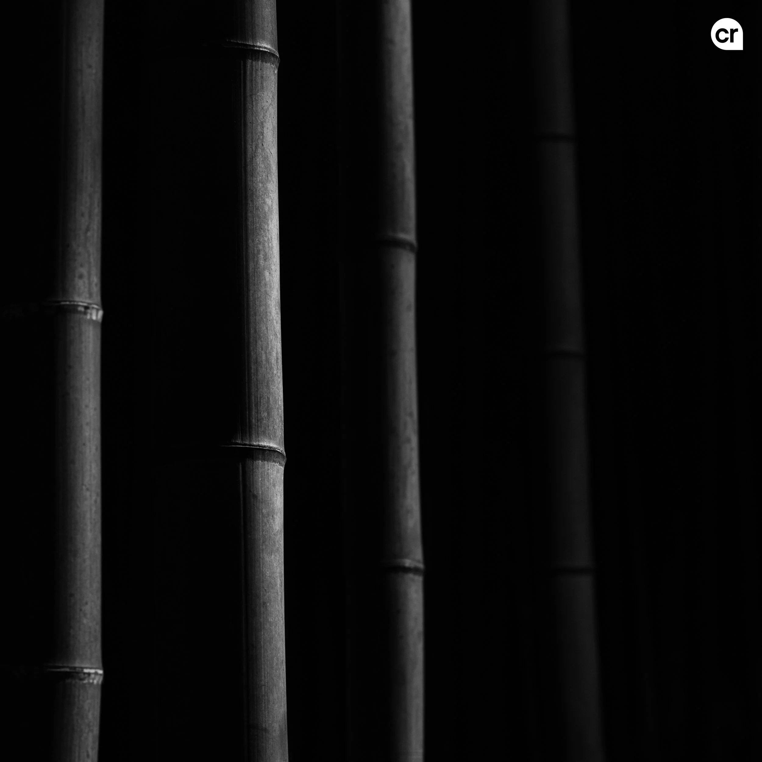 Black and white photograph of the bamboo grove at Arashiyama, Kyoto, Japan. Made by Indigenous Design and Photography Ltd.