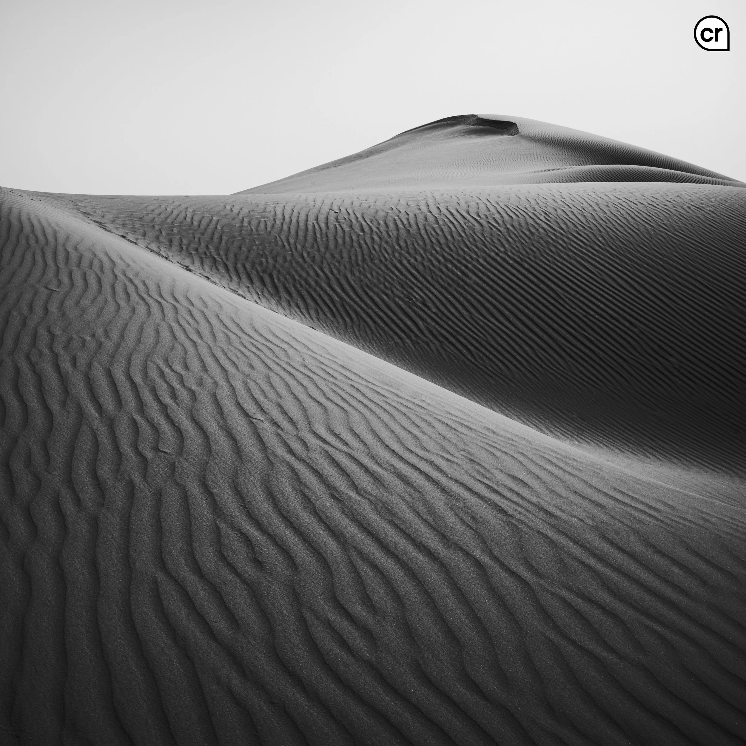 Black and white photograph of the dunes at Qasr al Sarab, Abu Dhabi, UAE. Made by Indigenous Design and Photography Ltd.