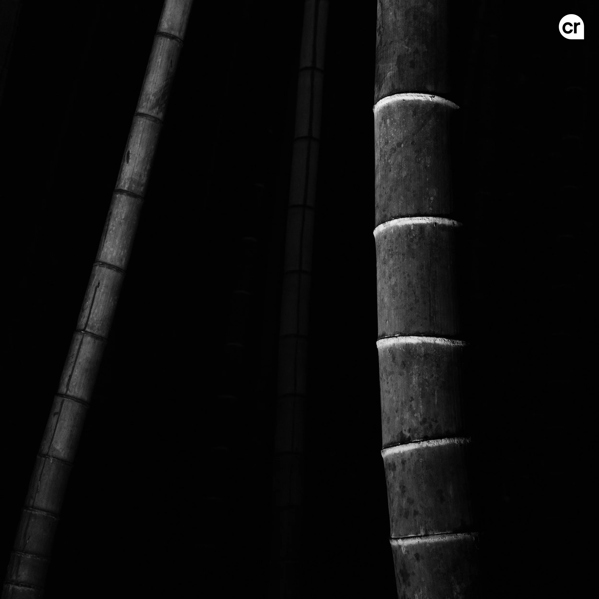 Black and white photograph of the bamboo grove at Arashiyama, Kyoto, Japan. Made by Indigenous Design and Photography Ltd.