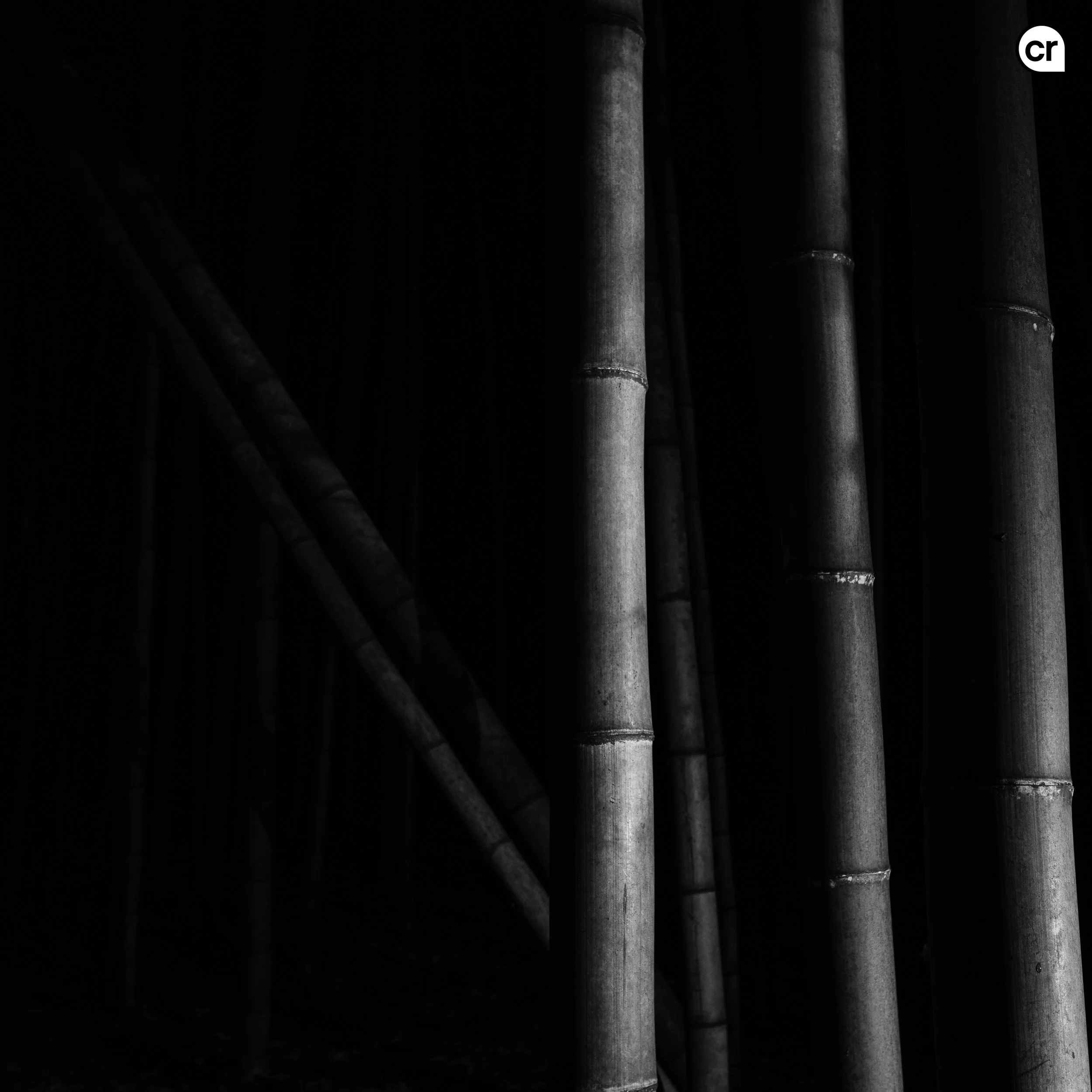Black and white photograph of the bamboo grove at Arashiyama, Kyoto, Japan. Made by Indigenous Design and Photography Ltd.