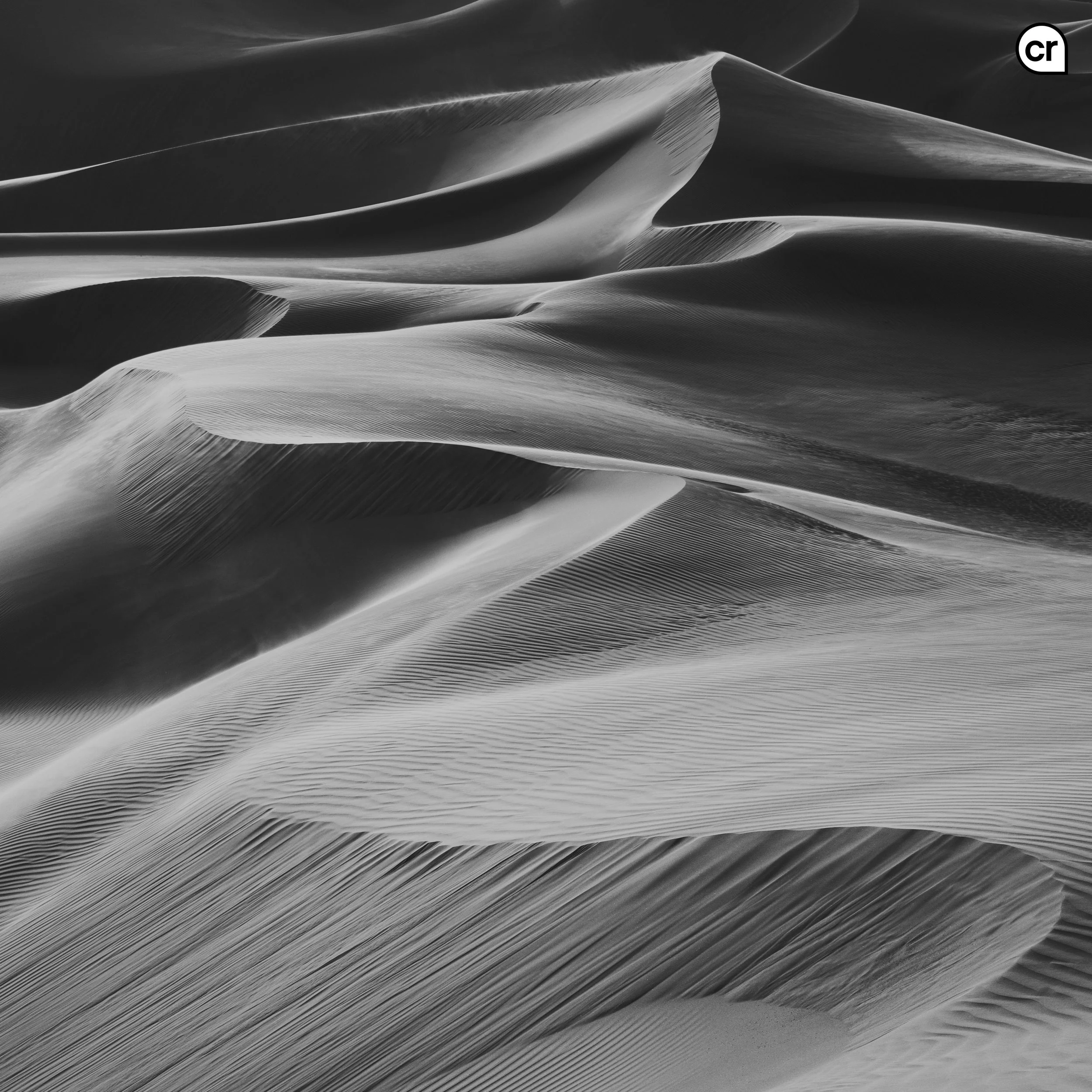 Black and white photograph of the dunes at Qasr al Sarab, Abu Dhabi, UAE. Made by Indigenous Design and Photography Ltd.
