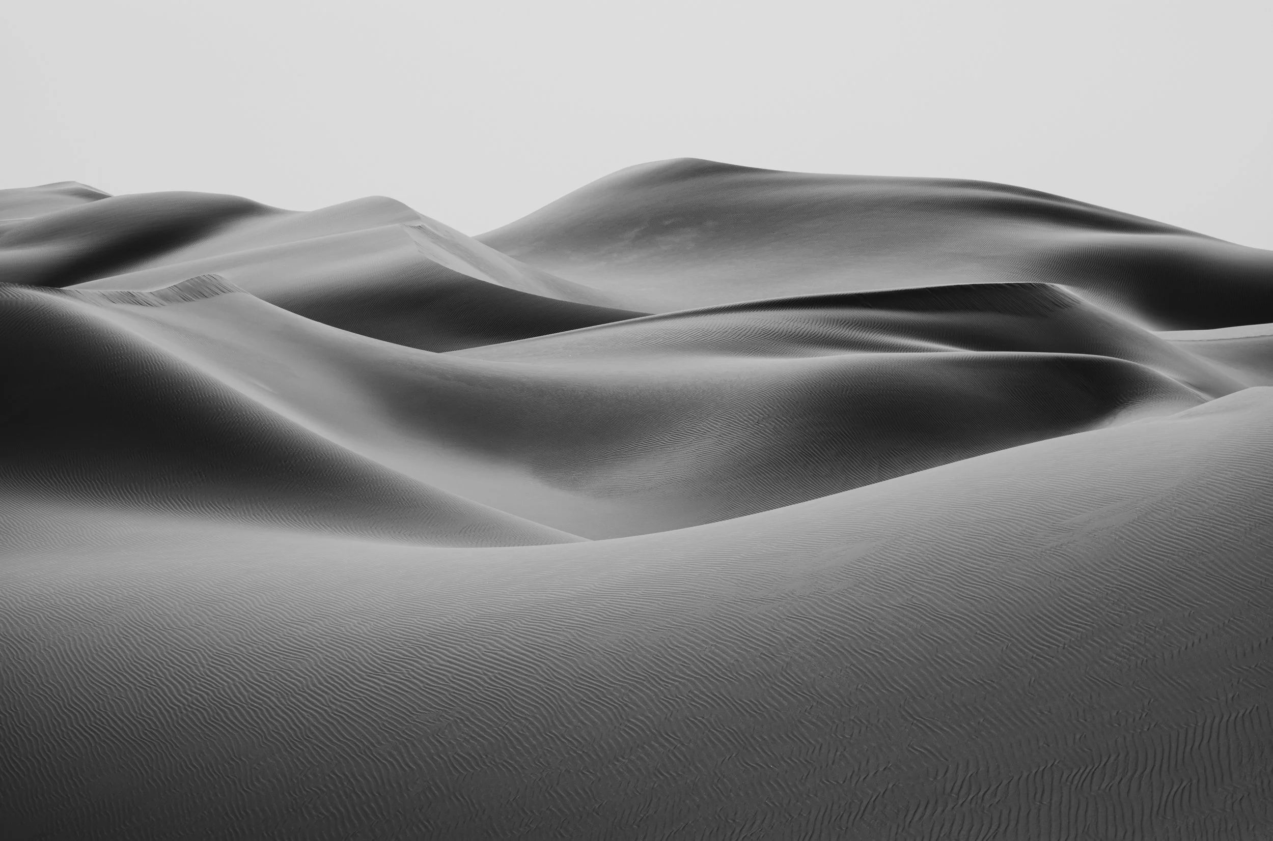 Black and white photograph of the dunes at Qasr al Sarab, Abu Dhabi, UAE. Made by Indigenous Design and Photography Ltd.