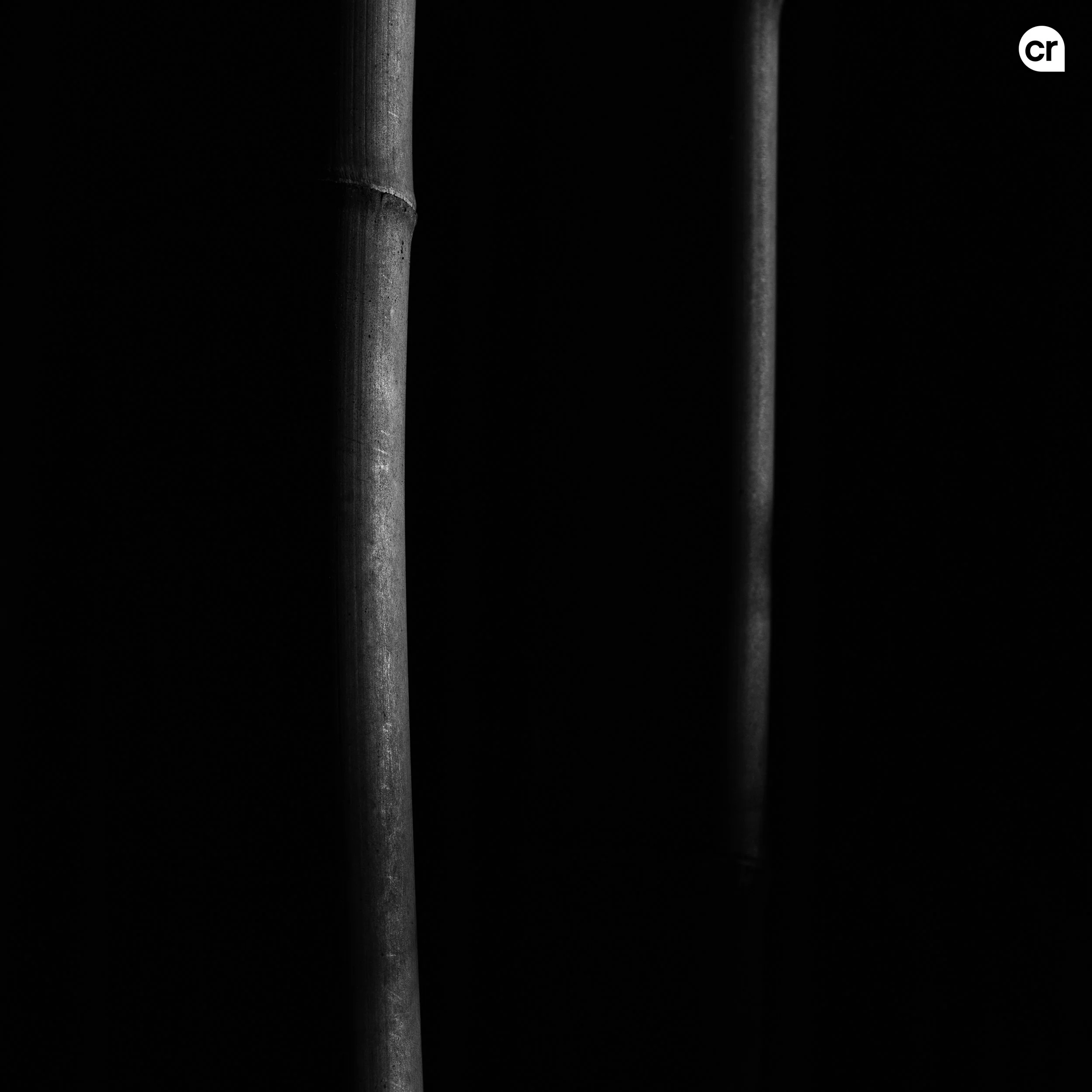 Black and white photograph of the bamboo grove at Arashiyama, Kyoto, Japan. Made by Indigenous Design and Photography Ltd.