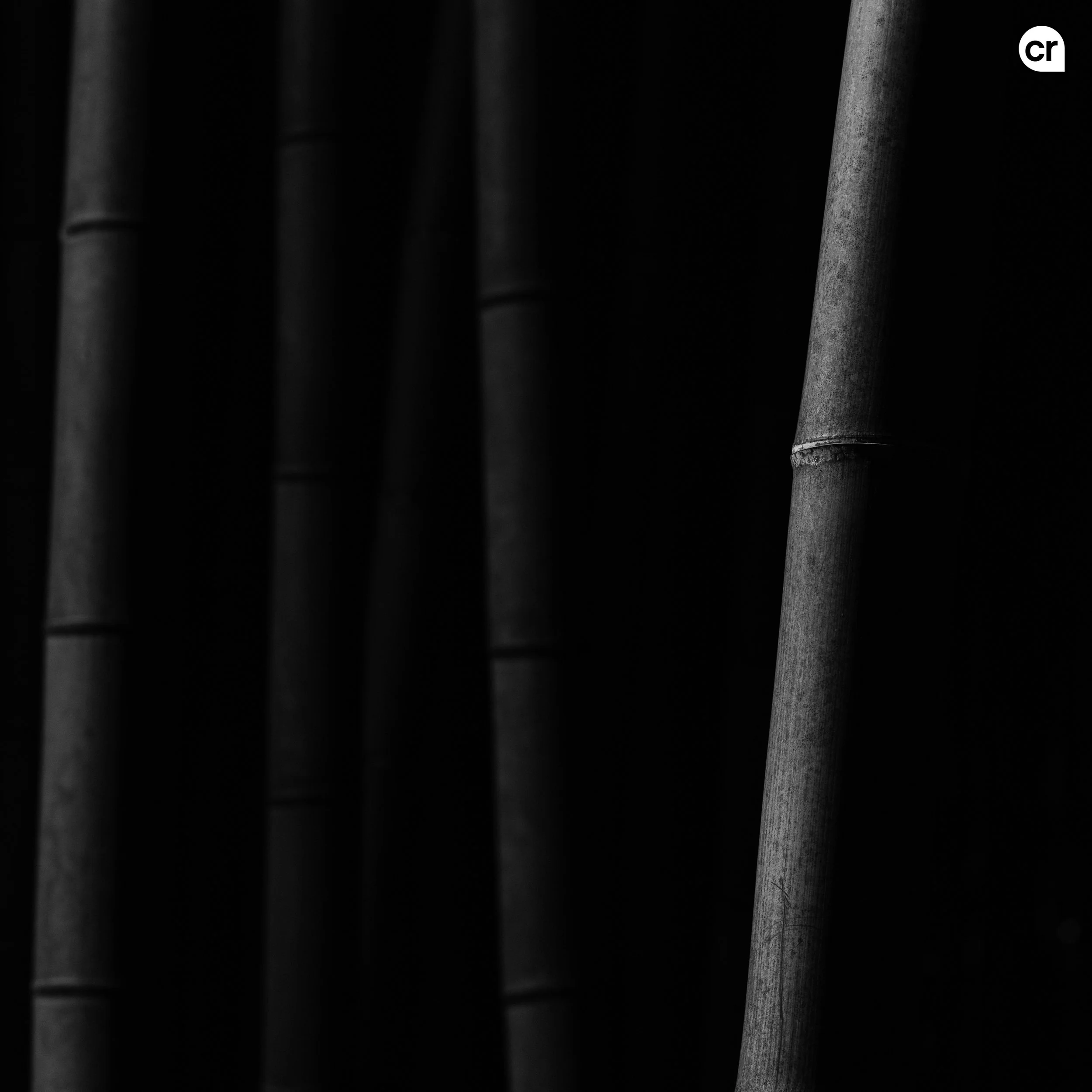 Black and white photograph of the bamboo grove at Arashiyama, Kyoto, Japan. Made by Indigenous Design and Photography Ltd.
