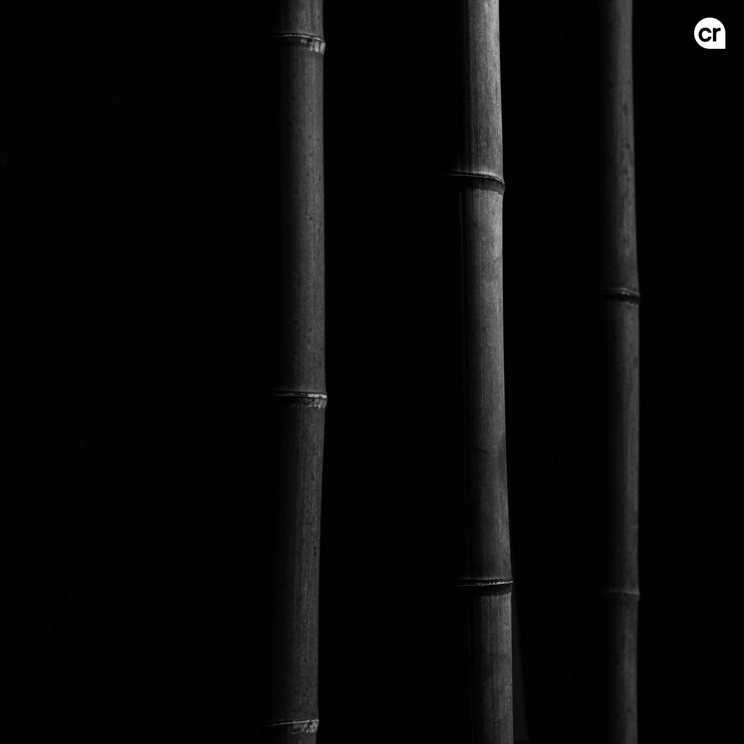 Black and white photograph of the bamboo grove at Arashiyama, Kyoto, Japan. Made by Indigenous Design and Photography Ltd.