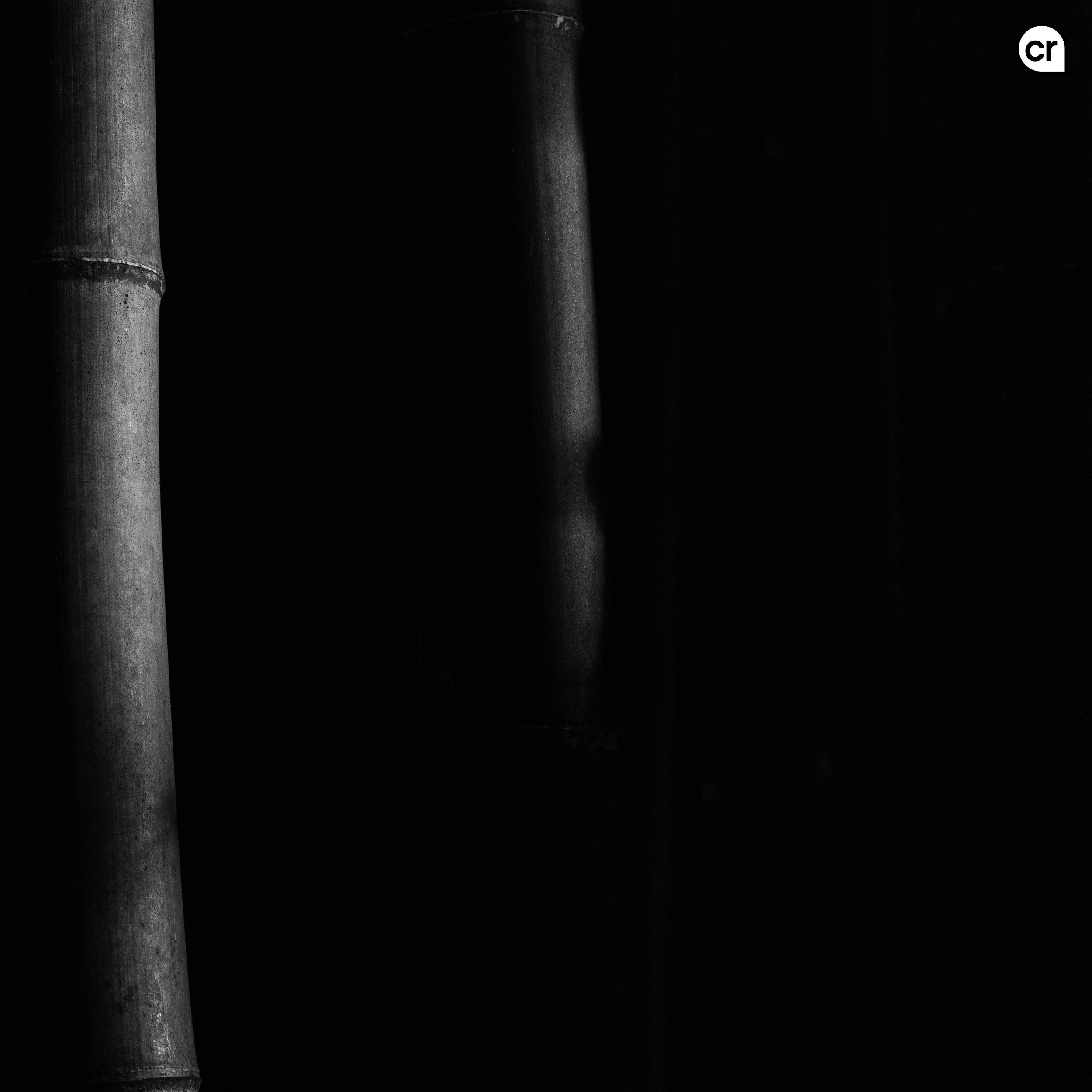 Black and white photograph of the bamboo grove at Arashiyama, Kyoto, Japan. Made by Indigenous Design and Photography Ltd.