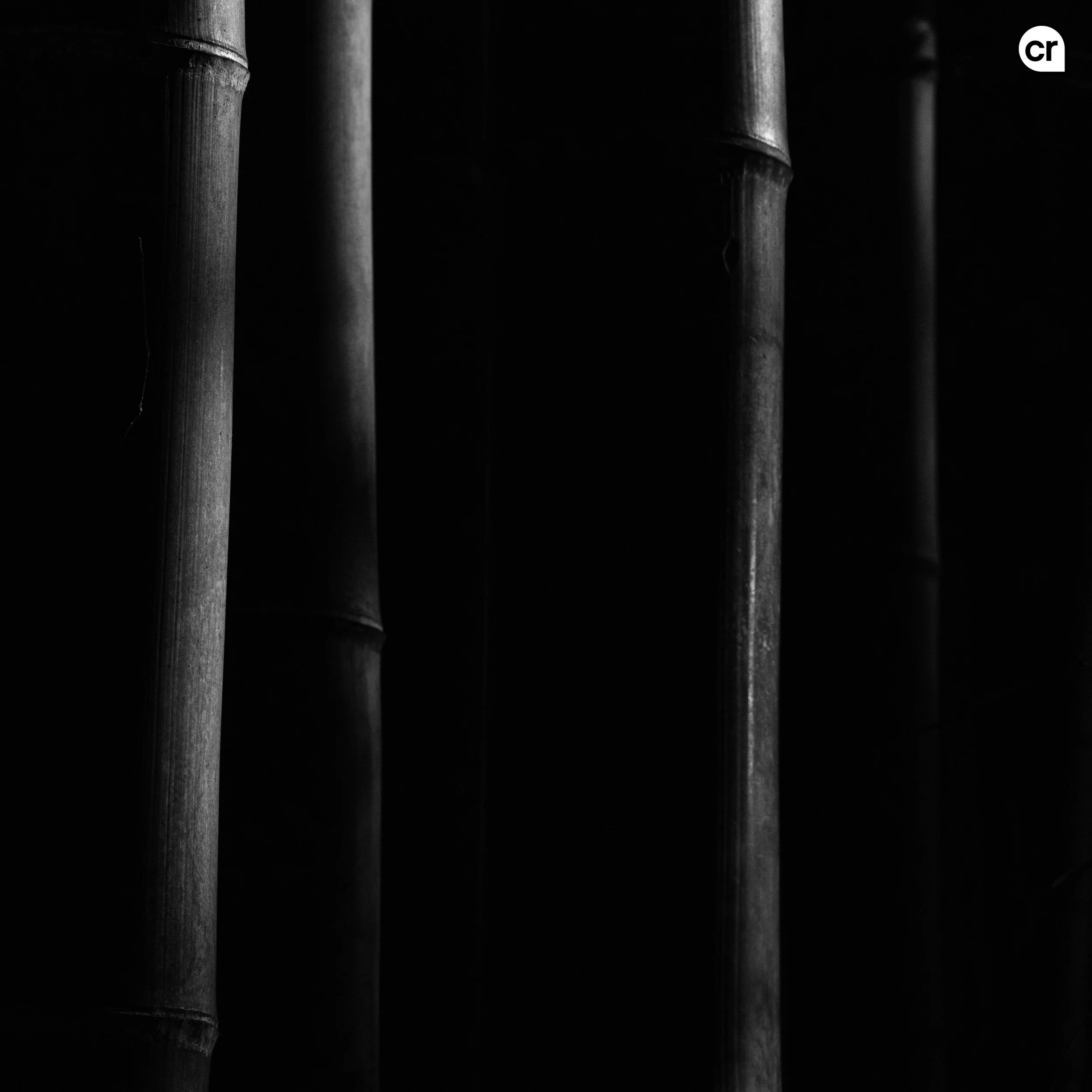 Black and white photograph of the bamboo grove at Arashiyama, Kyoto, Japan. Made by Indigenous Design and Photography Ltd.