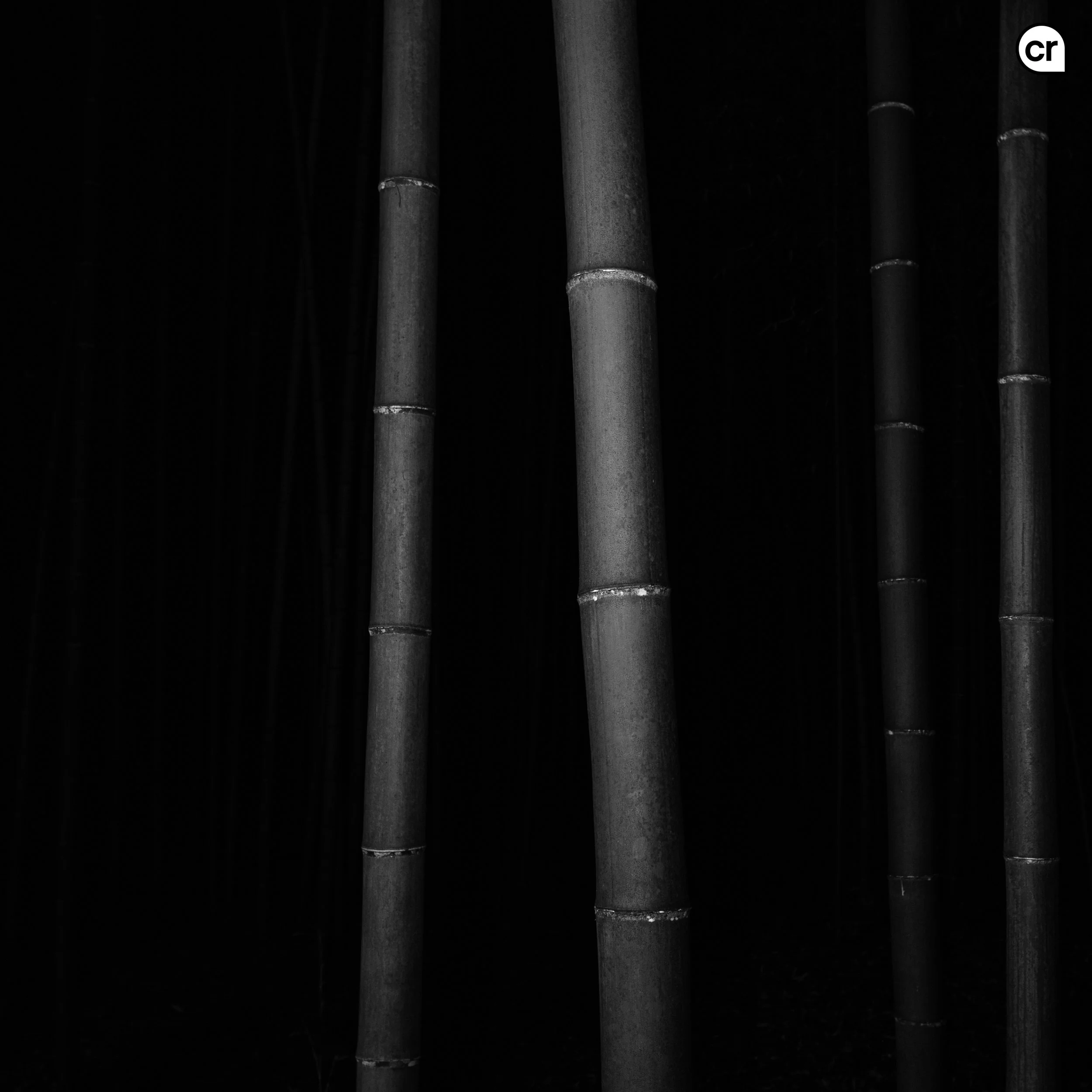 Black and white photograph of the bamboo grove at Arashiyama, Kyoto, Japan. Made by Indigenous Design and Photography Ltd.