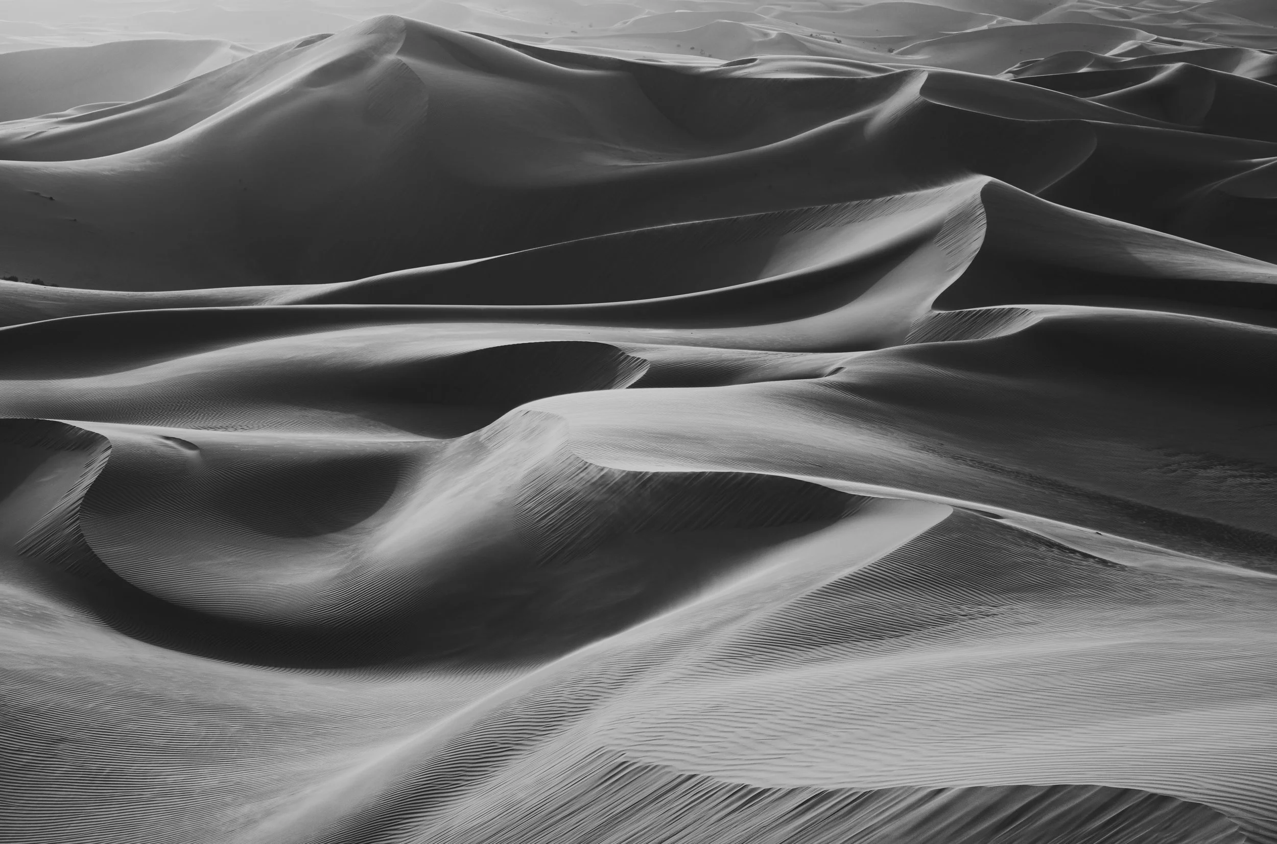 Black and white photograph of the dunes at Qasr al Sarab, Abu Dhabi, UAE. Made by Indigenous Design and Photography Ltd.