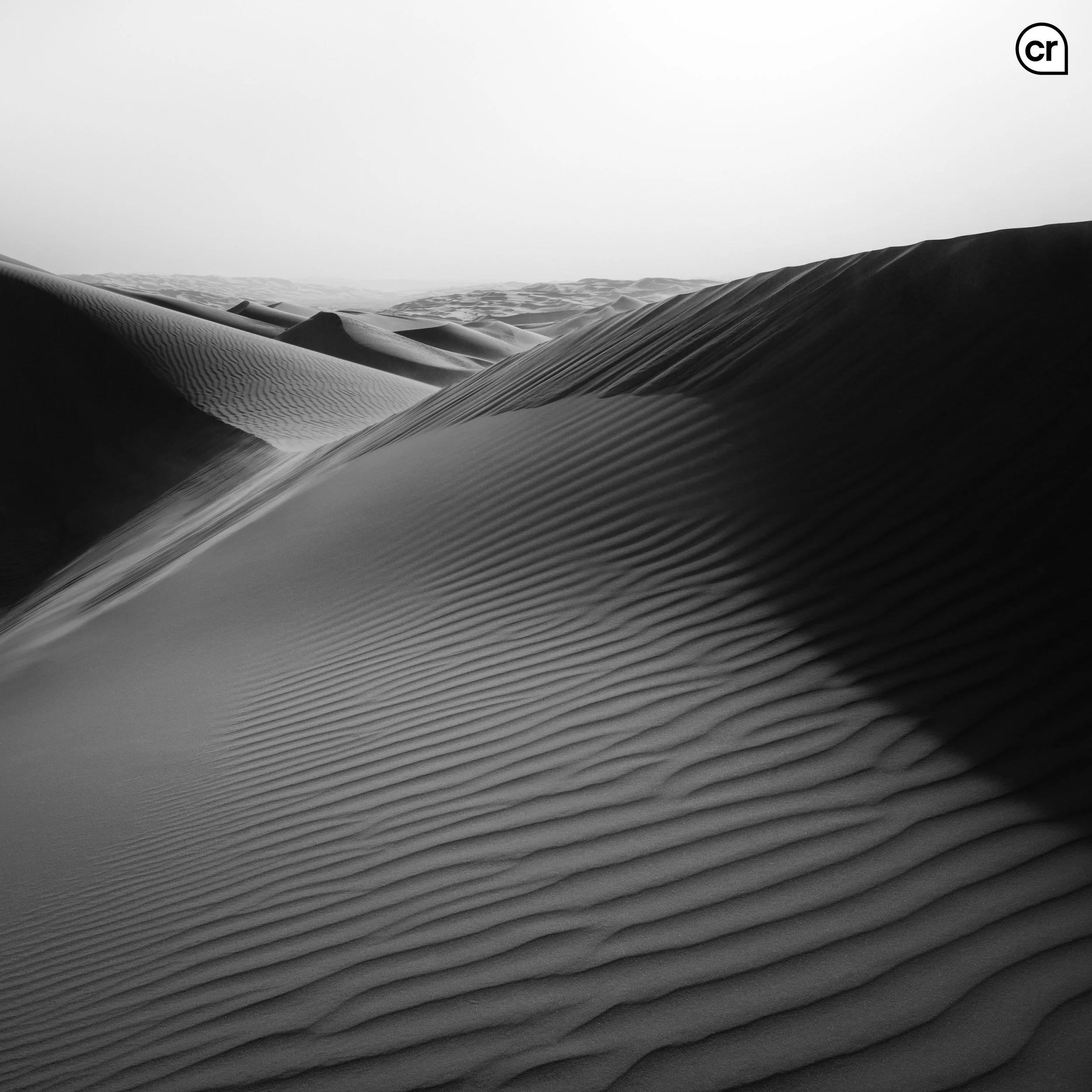 Black and white photograph of the dunes at Qasr al Sarab, Abu Dhabi, UAE. Made by Indigenous Design and Photography Ltd.