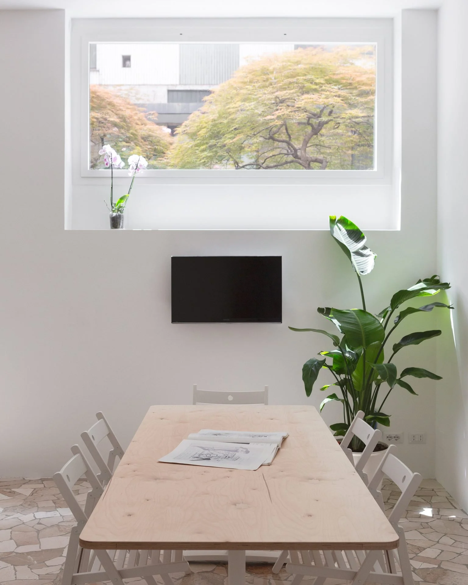 A modern dining area with a light wood table, six white chairs, a large window showing trees outside, and a potted plant on the right side of the table. There is a small TV mounted on the wall and some papers and drawings on the table.