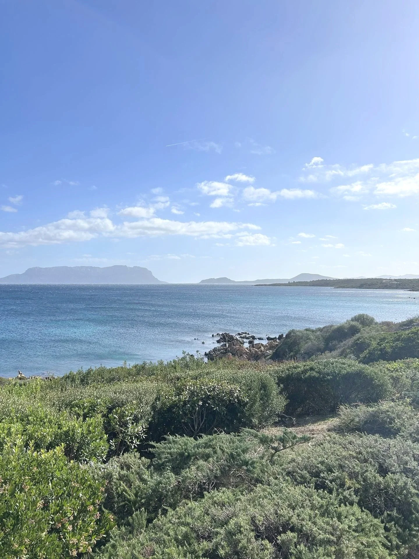 Scenic view of a coastline with green shrubs in the foreground, a calm blue sea, and distant island or landmasses under a partly cloudy sky.