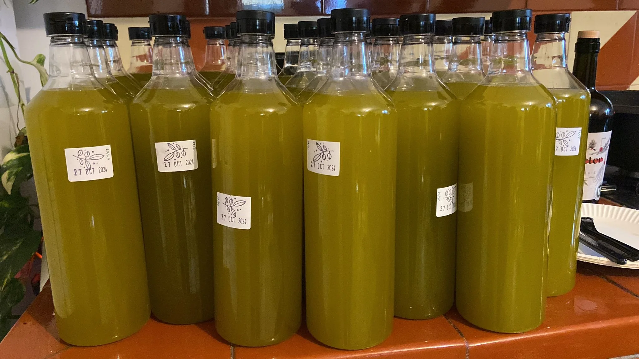 Botellas de aceite