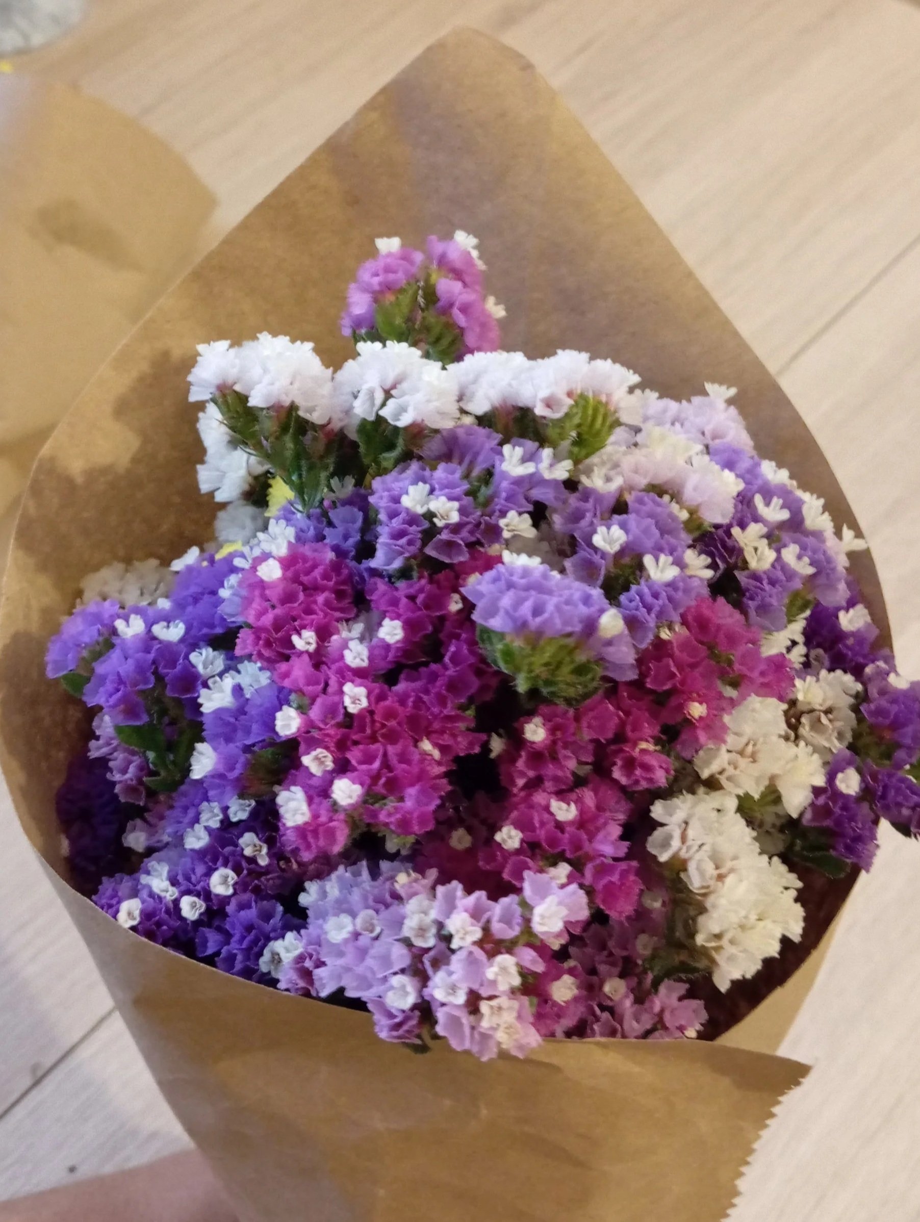 IMG_20260720_171202+%281%29.jpg