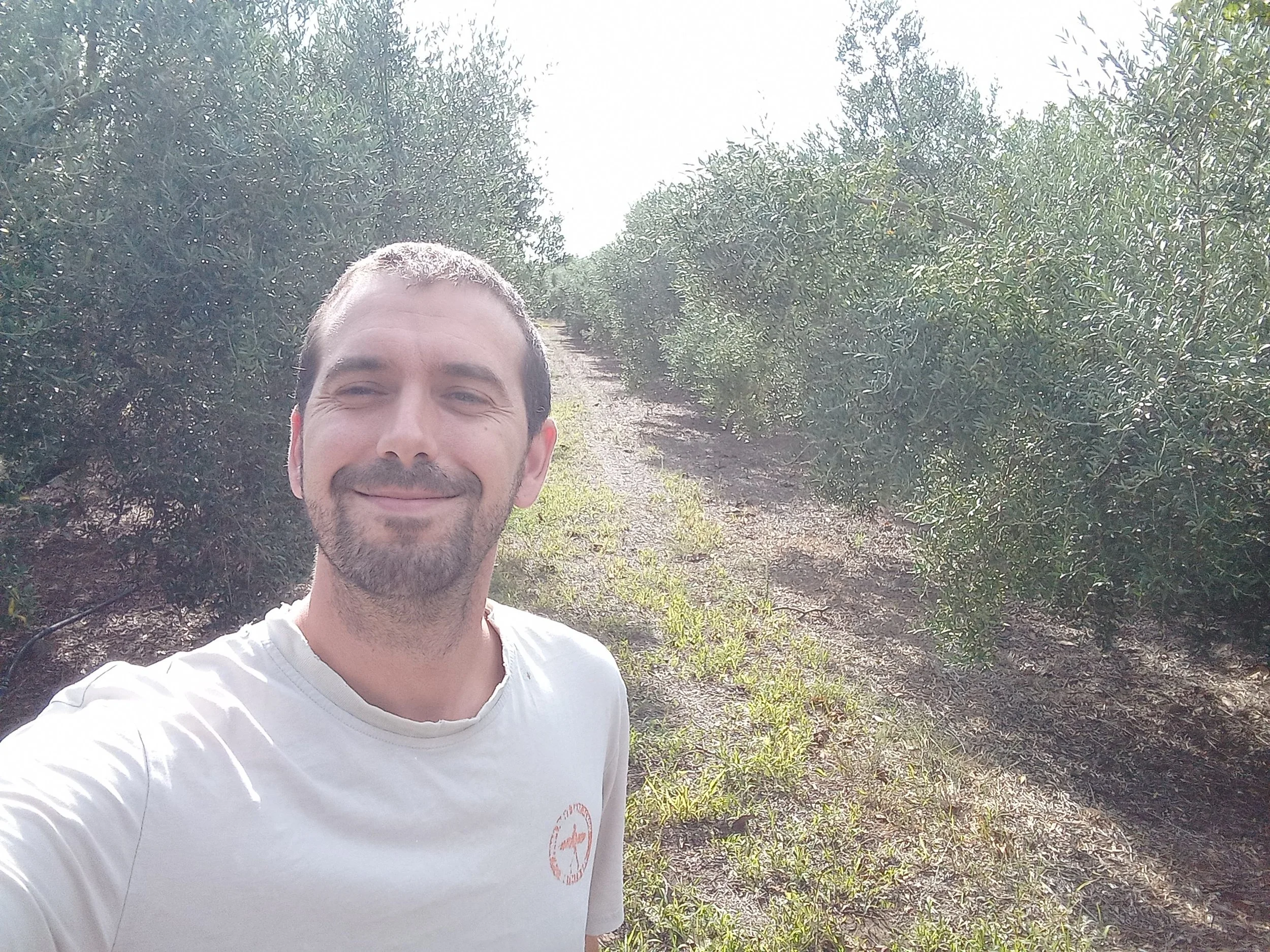 Un hombre sonriente en un campo de árboles que parecen ser olivos, vestido con una camiseta blanca.