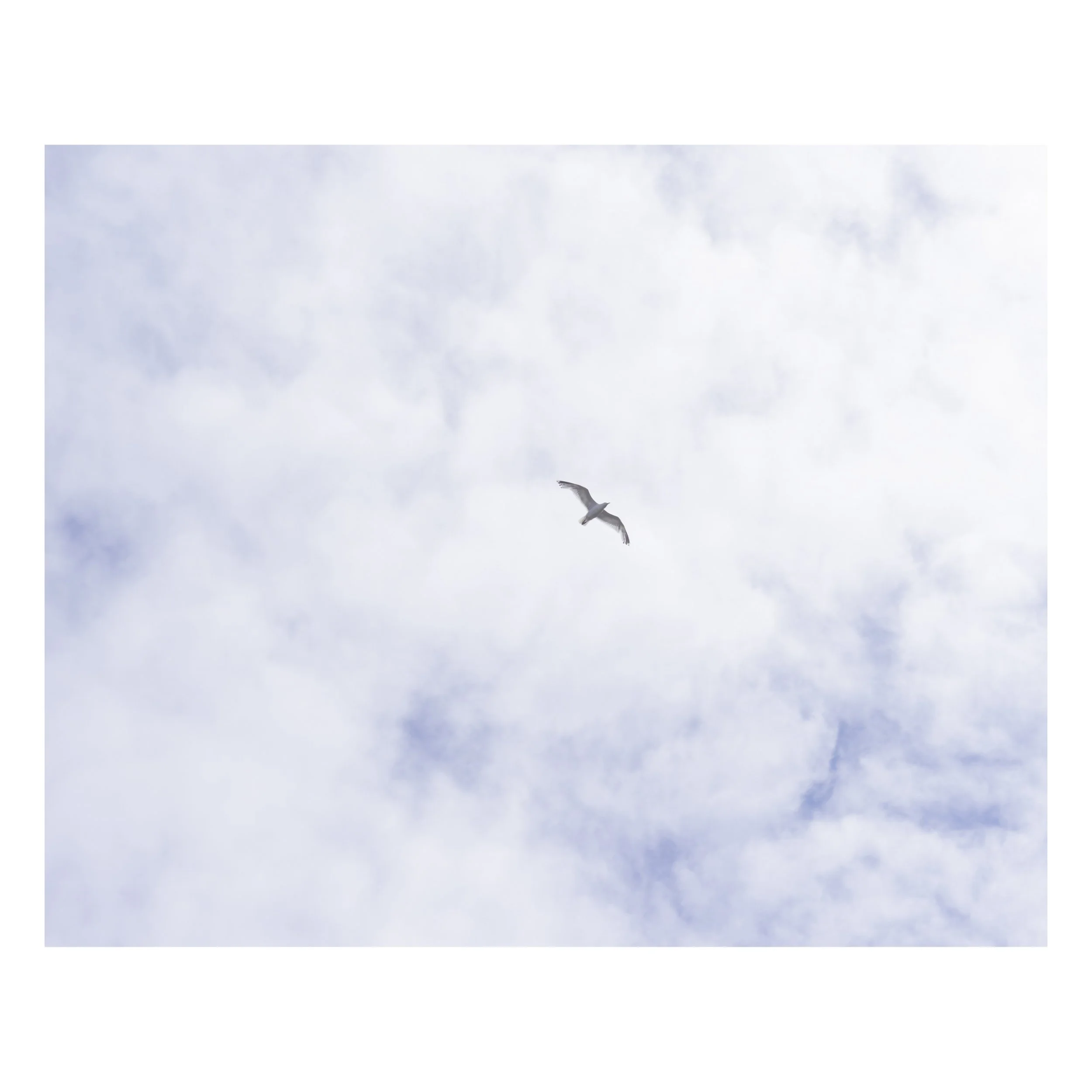 1 (73 of 84).jpg