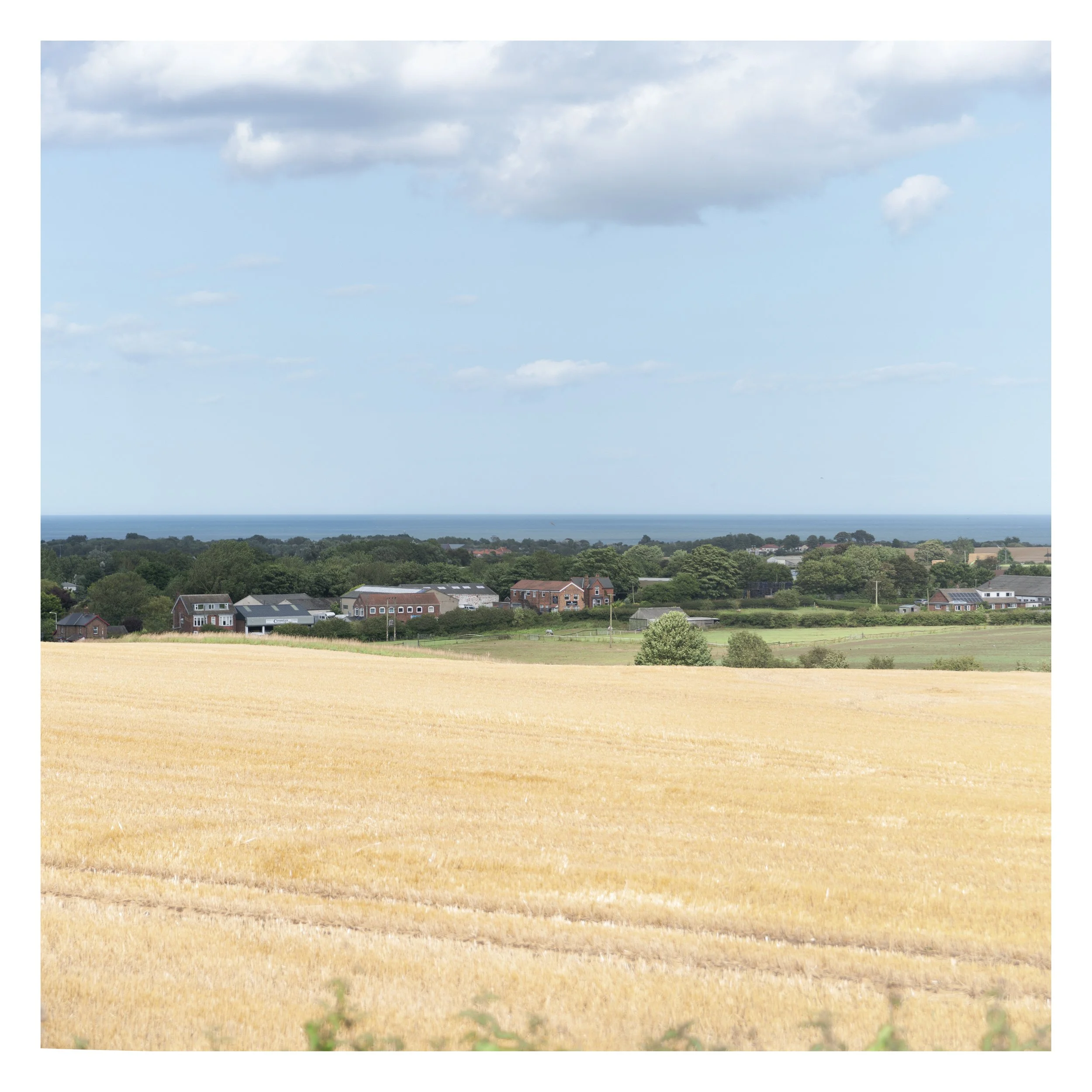 A rural landscape with yellow fields in the foreground and green trees and houses in the distance, under a blue sky with scattered clouds.