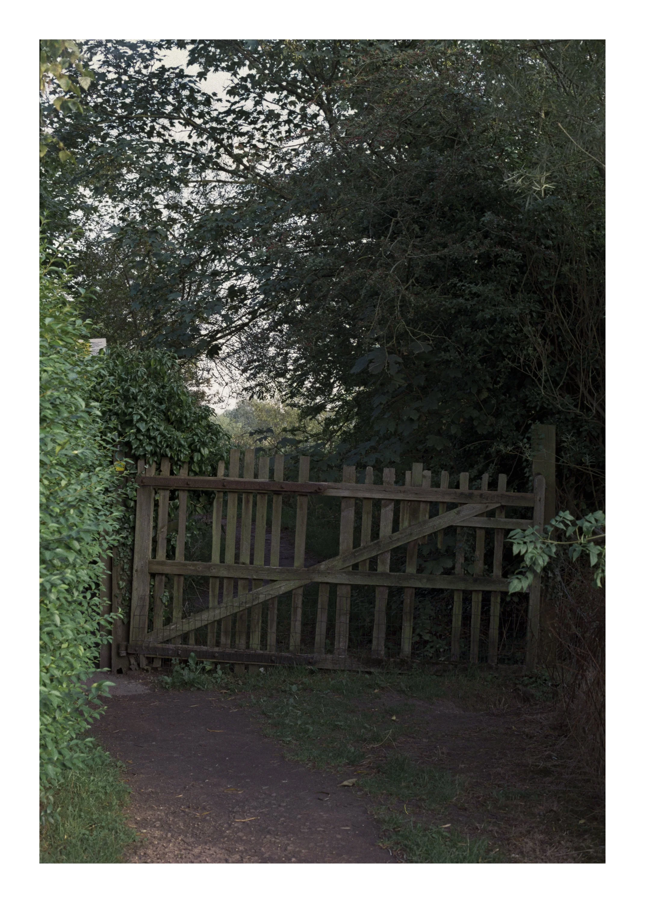 A wooden gate opening onto a dirt path surrounded by green foliage and trees.