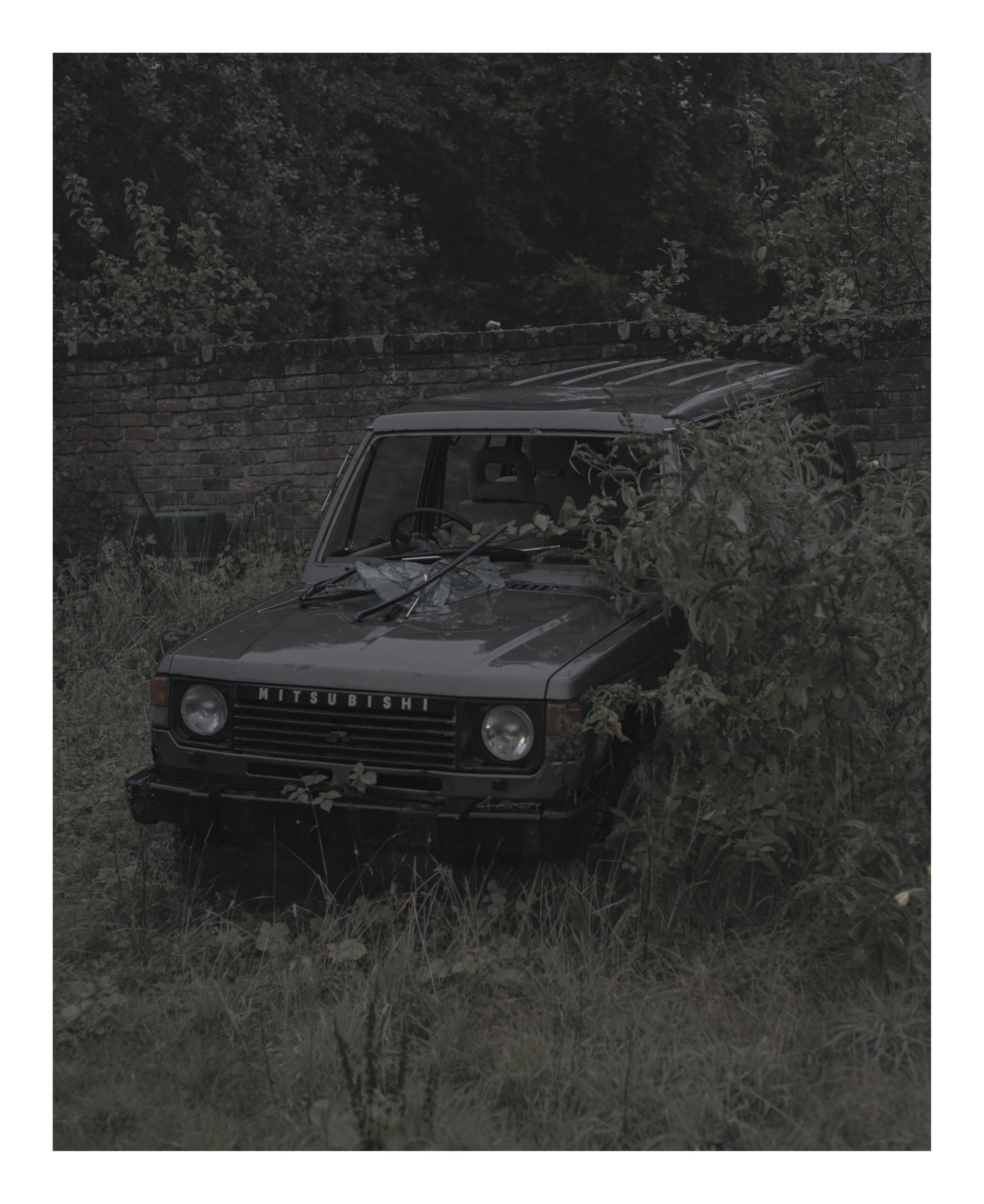 An abandoned Mitsubishi car partially covered by overgrown plants and bushes, with a brick wall in the background.