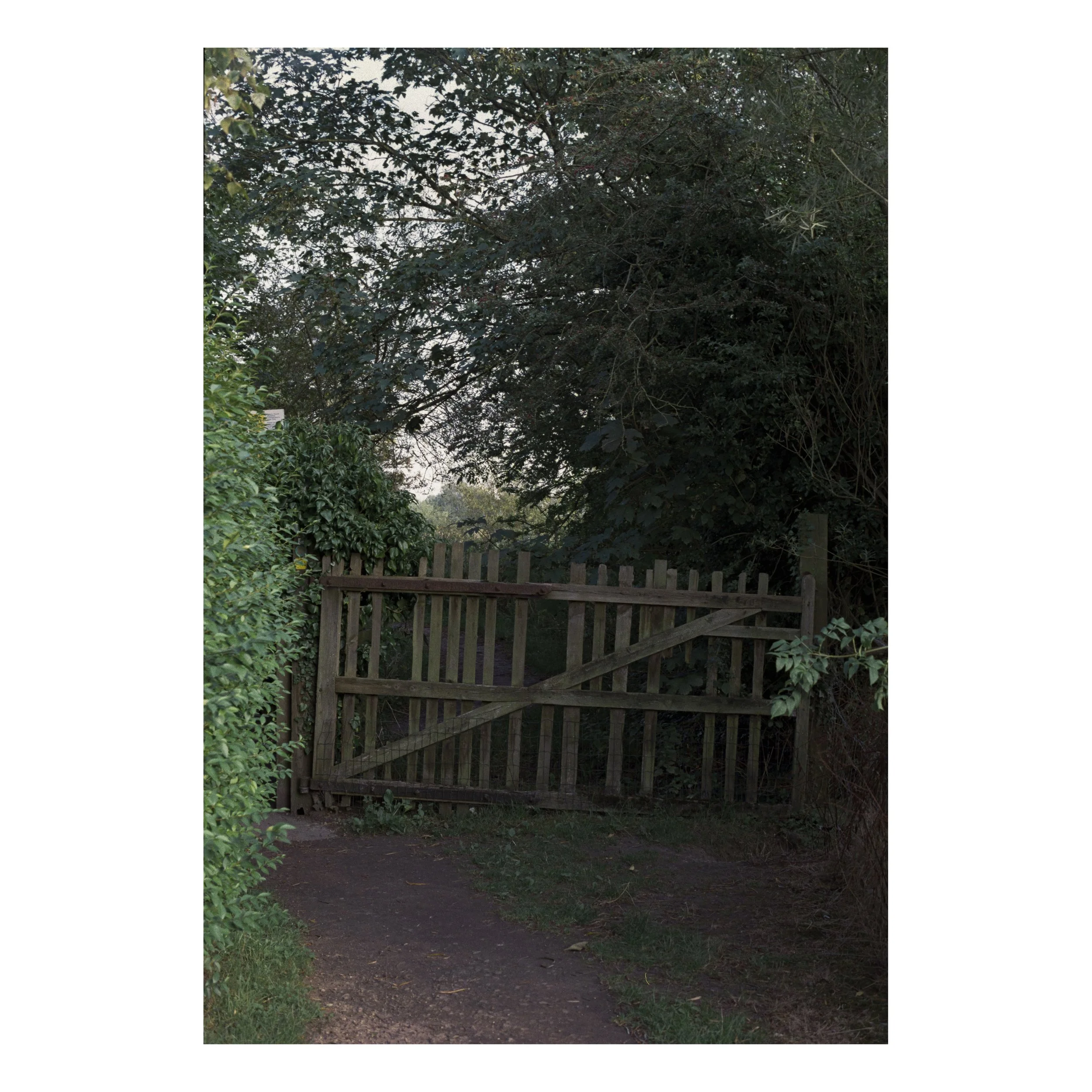 1 (10 of 84).jpg