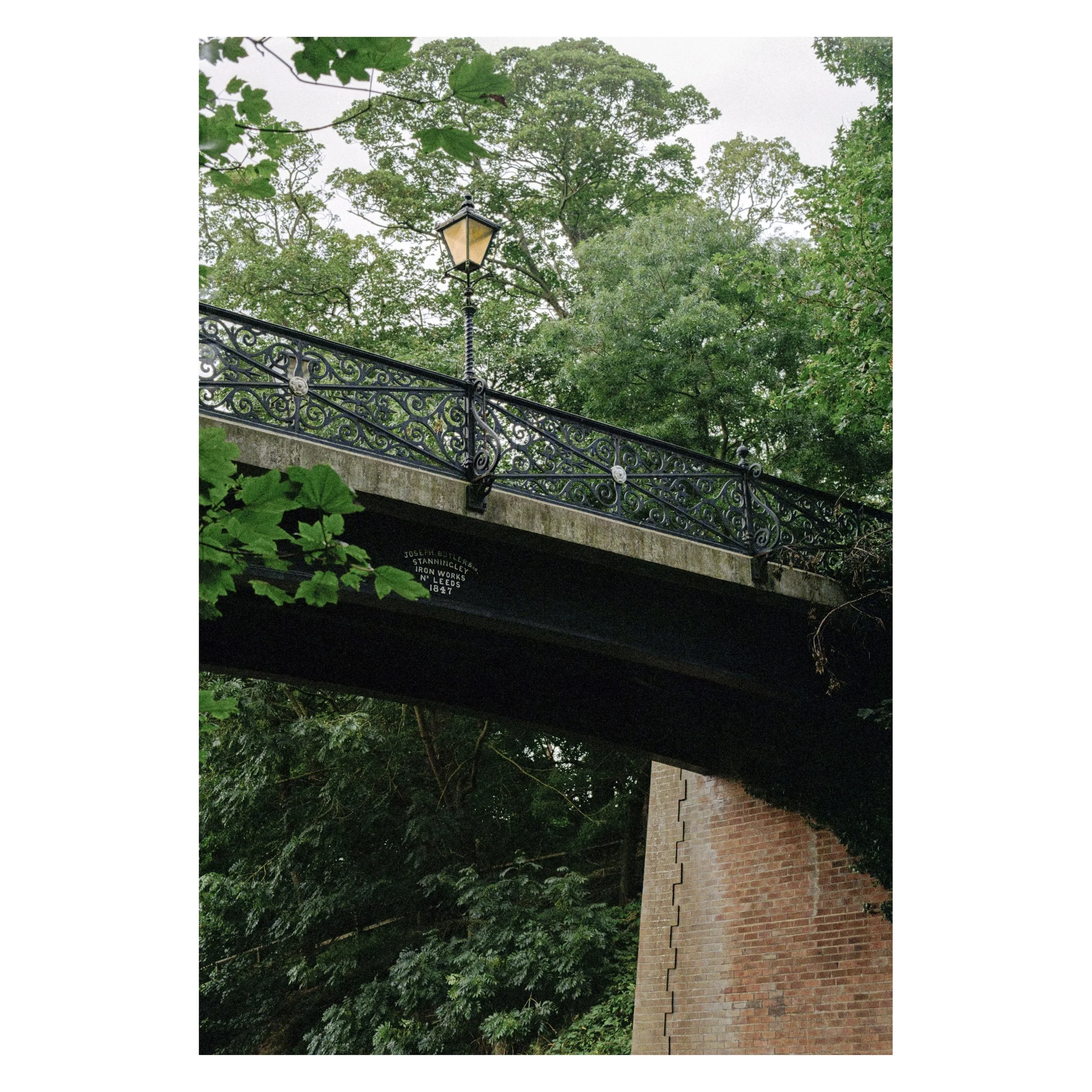 1 (17 of 84).jpg