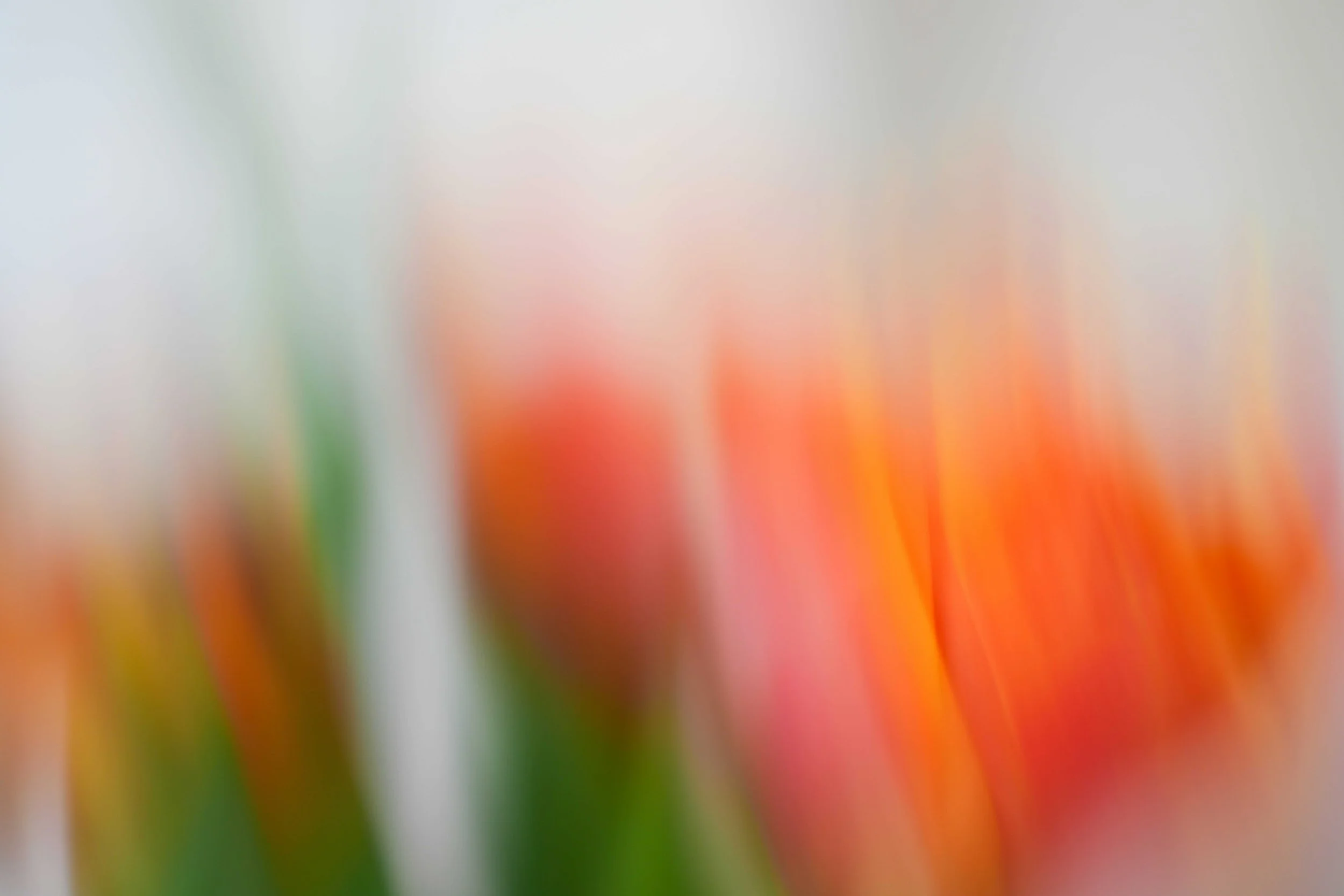 Ein verschwommenes, farbenfrohes Bild mit roten, grünen, gelben und orangenen Farbflächen.