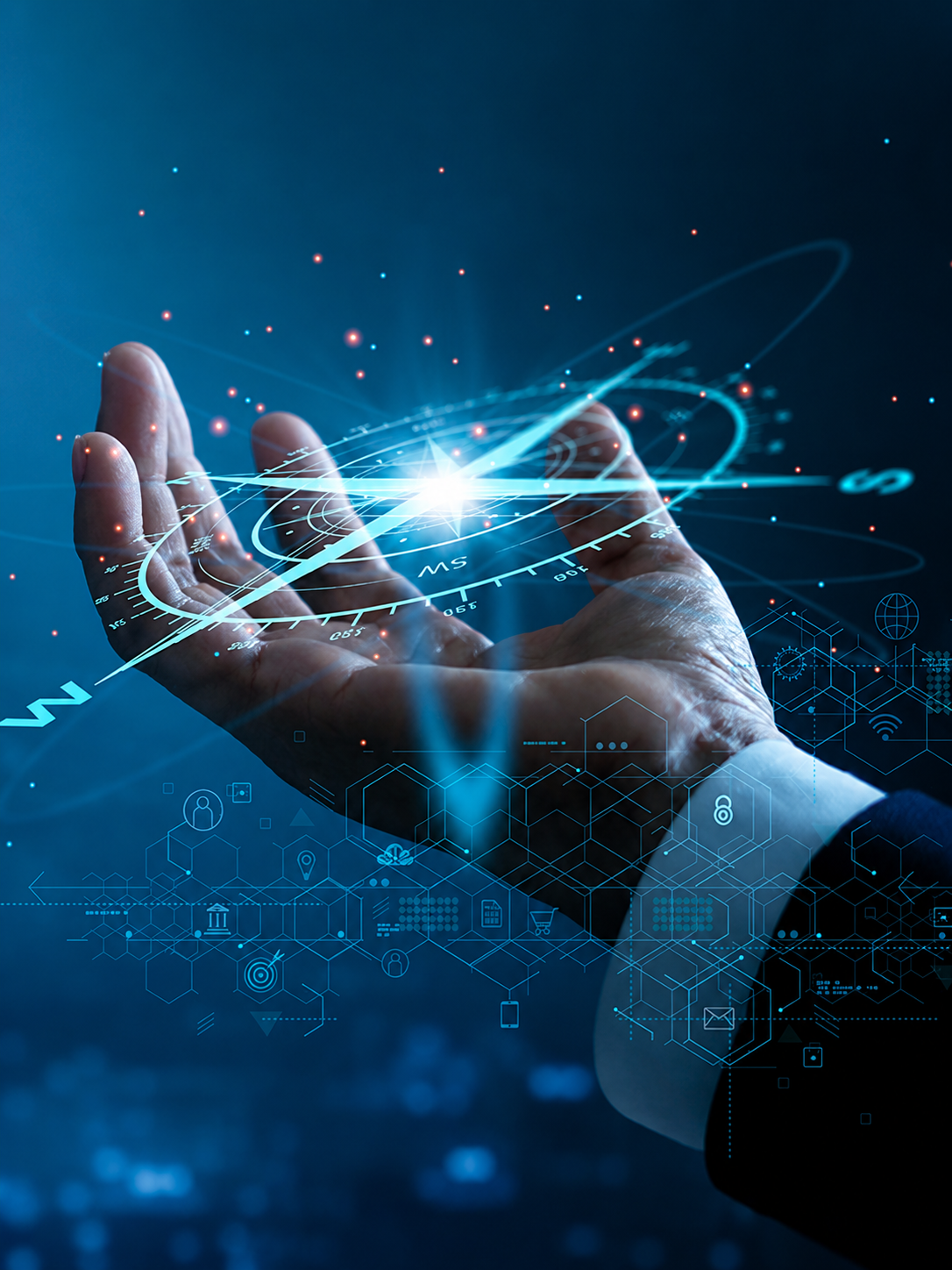 Digital Adoption & Capability