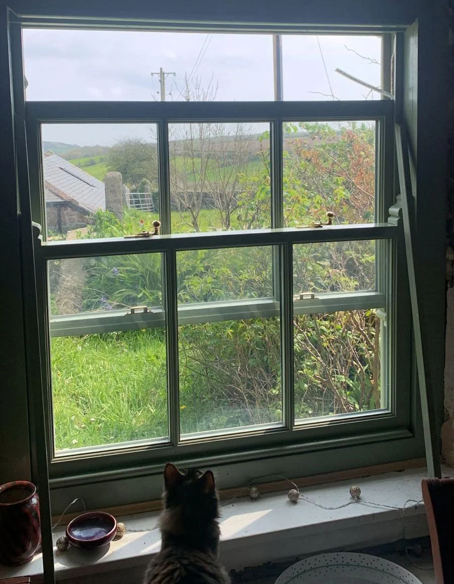 window-04.jpg