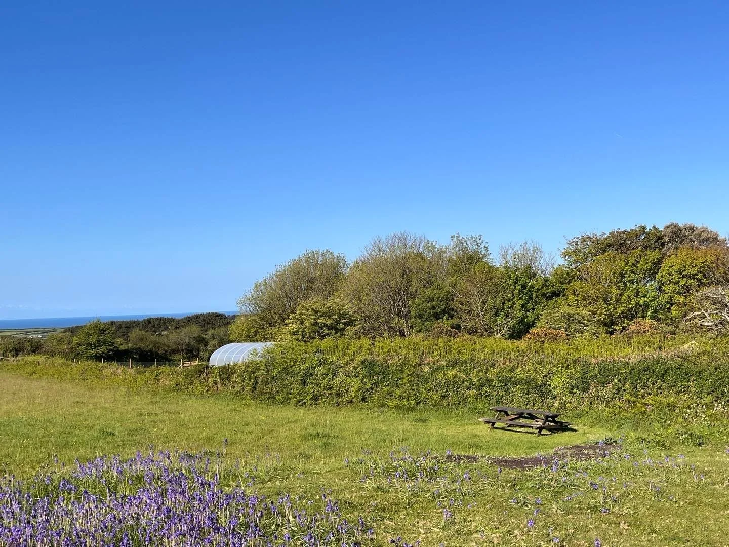 ☀️ Sunshine. Perfect linseed paint weather.
We go on about it a lot&mdash;here&rsquo;s why:

&bull; No microplastics
&bull; Makes your timber windows last decades
&bull; Does not peel. 
&bull; Supports real craft and community. 

Ancient methods that