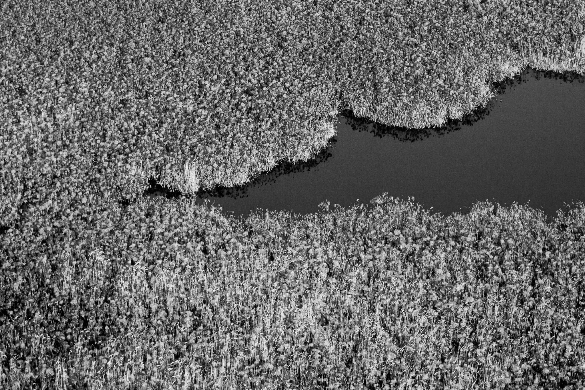 30. Delta del Okavango.jpg