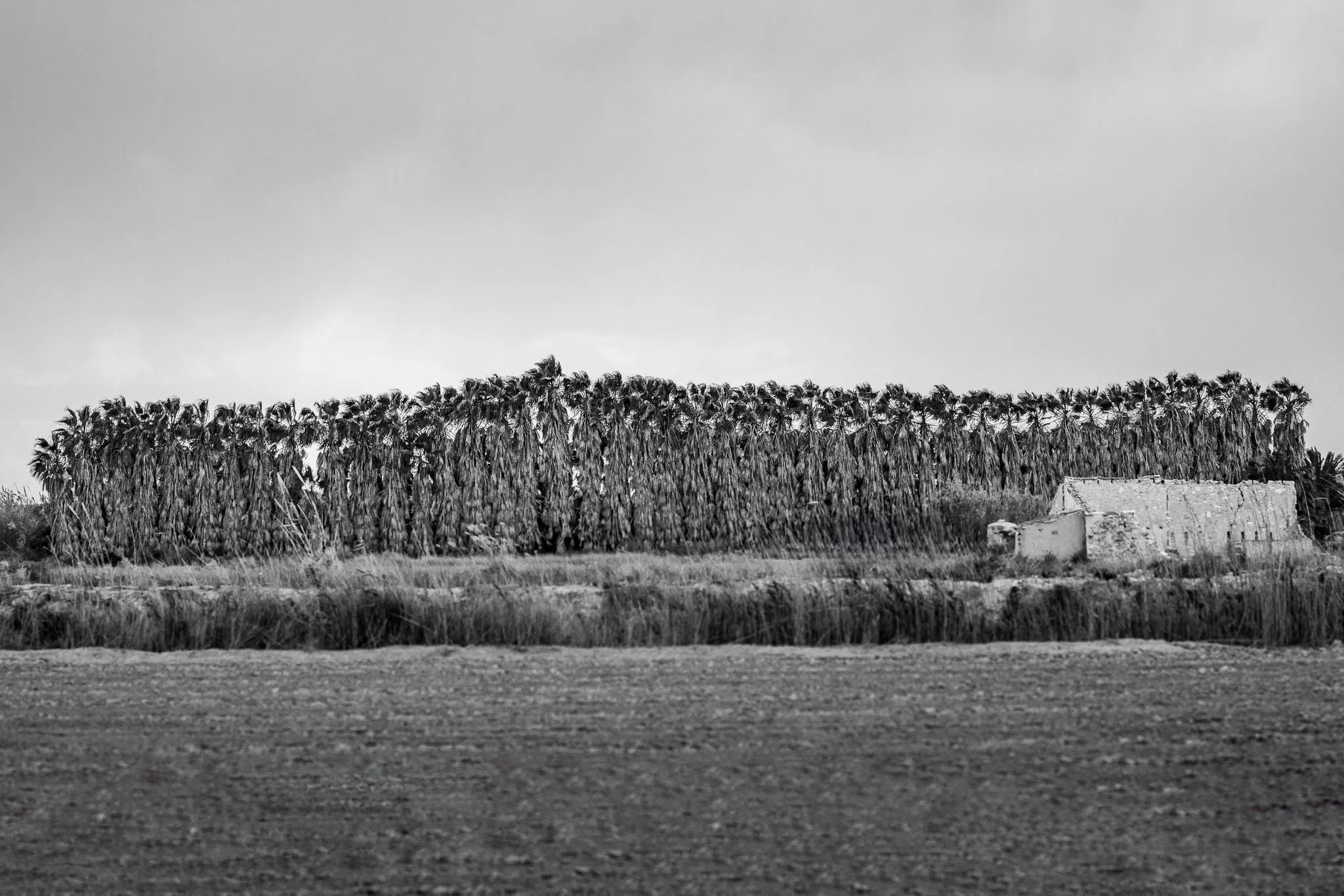 0013CG2_7236.jpg