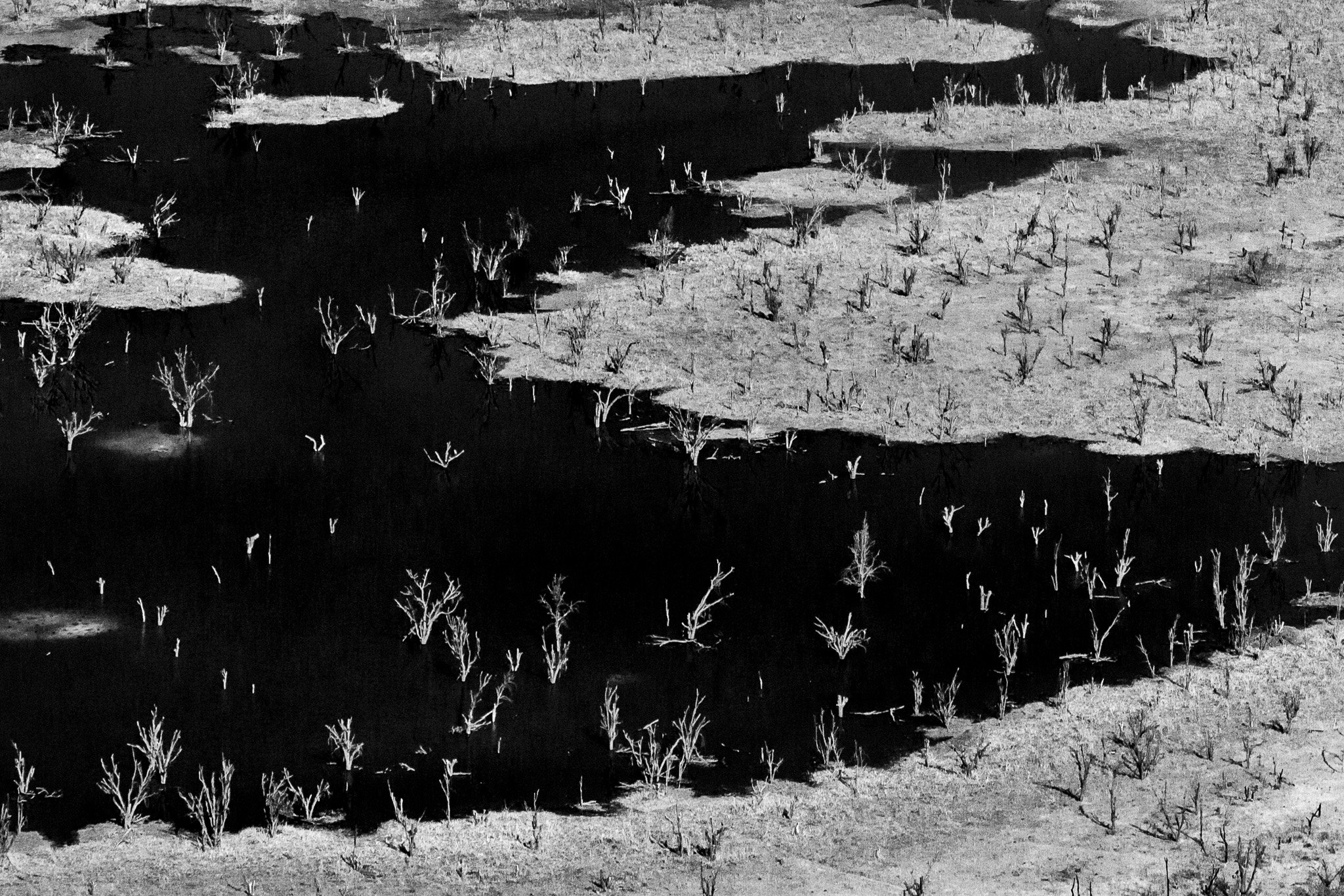 66. Delta del Okavango 17.jpg