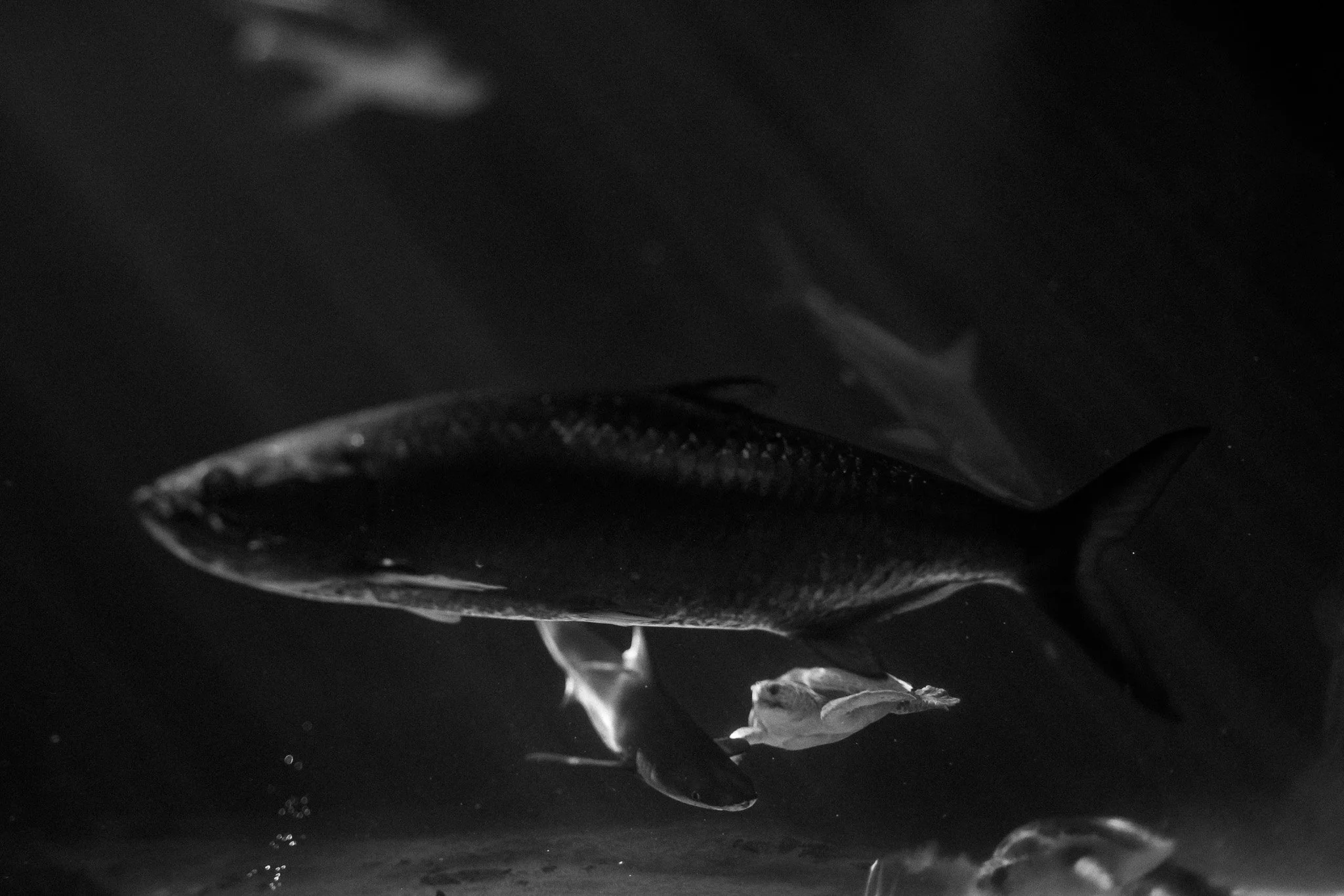 CG2_7051.jpg