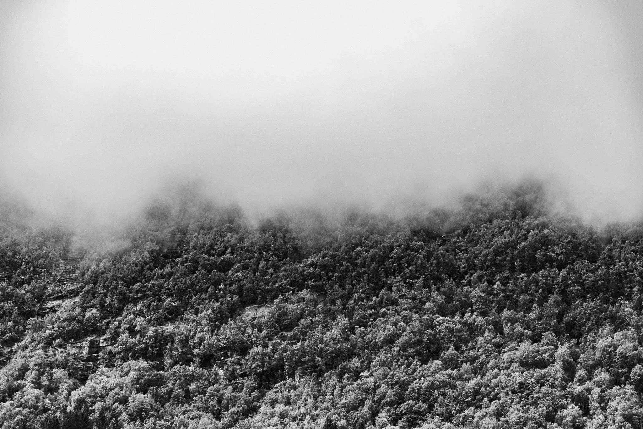00180018ZES_0153.jpg