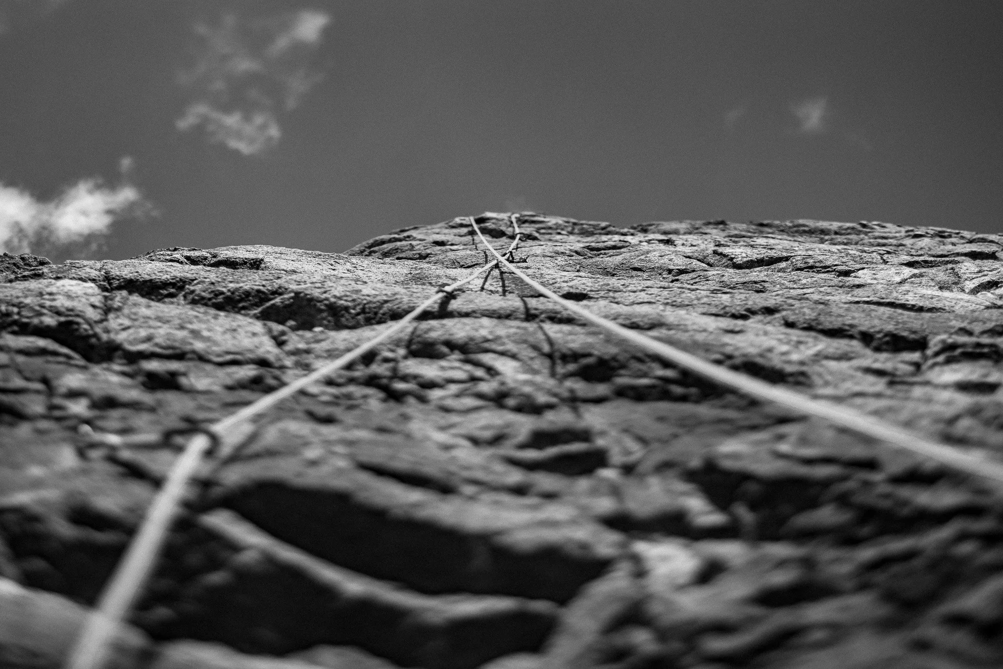 0033CG2_3936.jpg