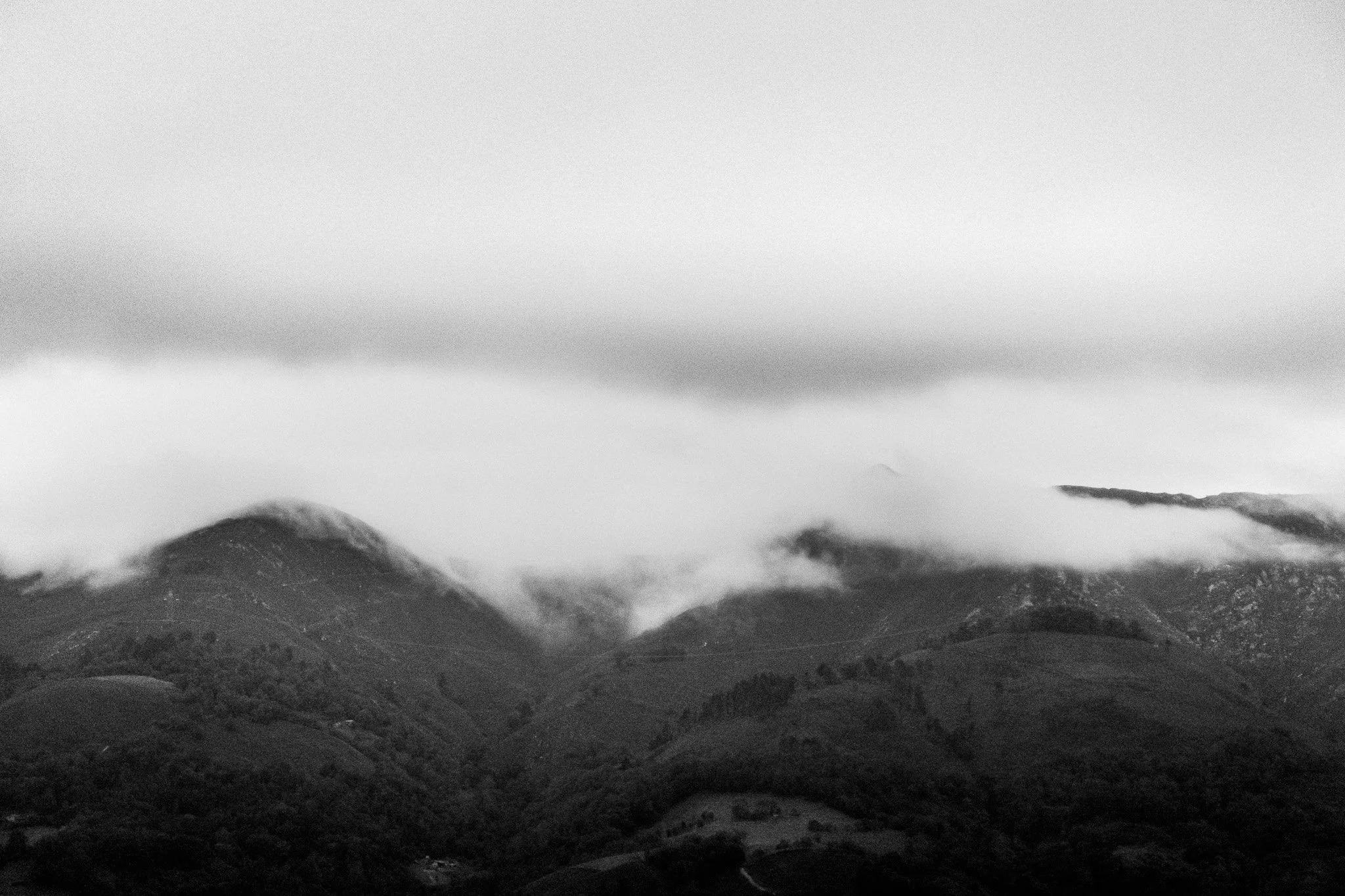 1.Campos Asturianos.jpg