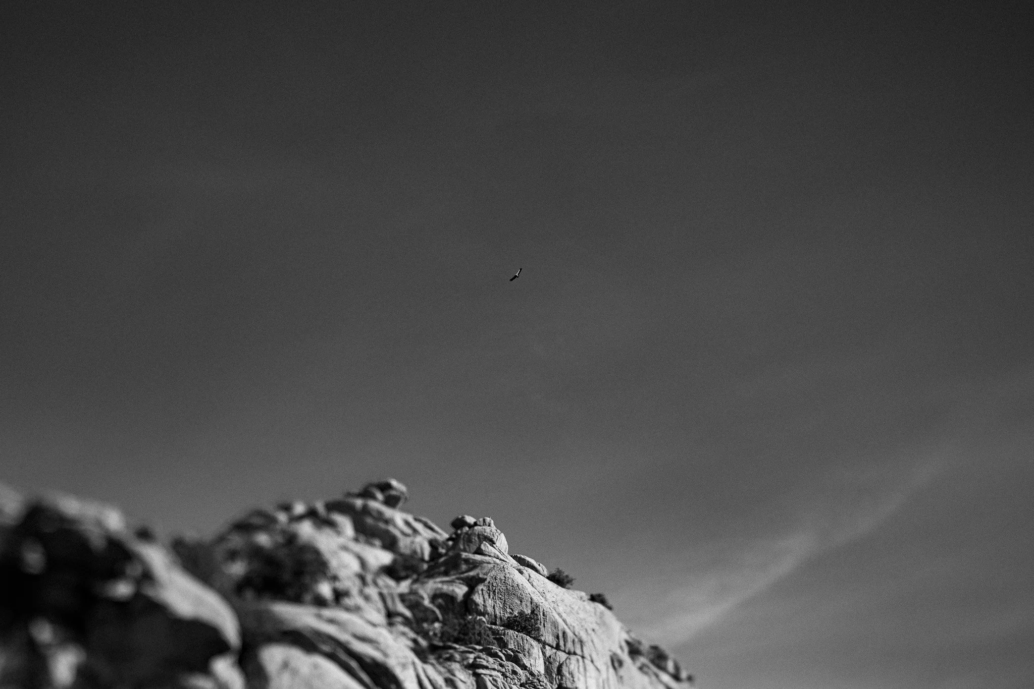 0016CG2_3887.jpg