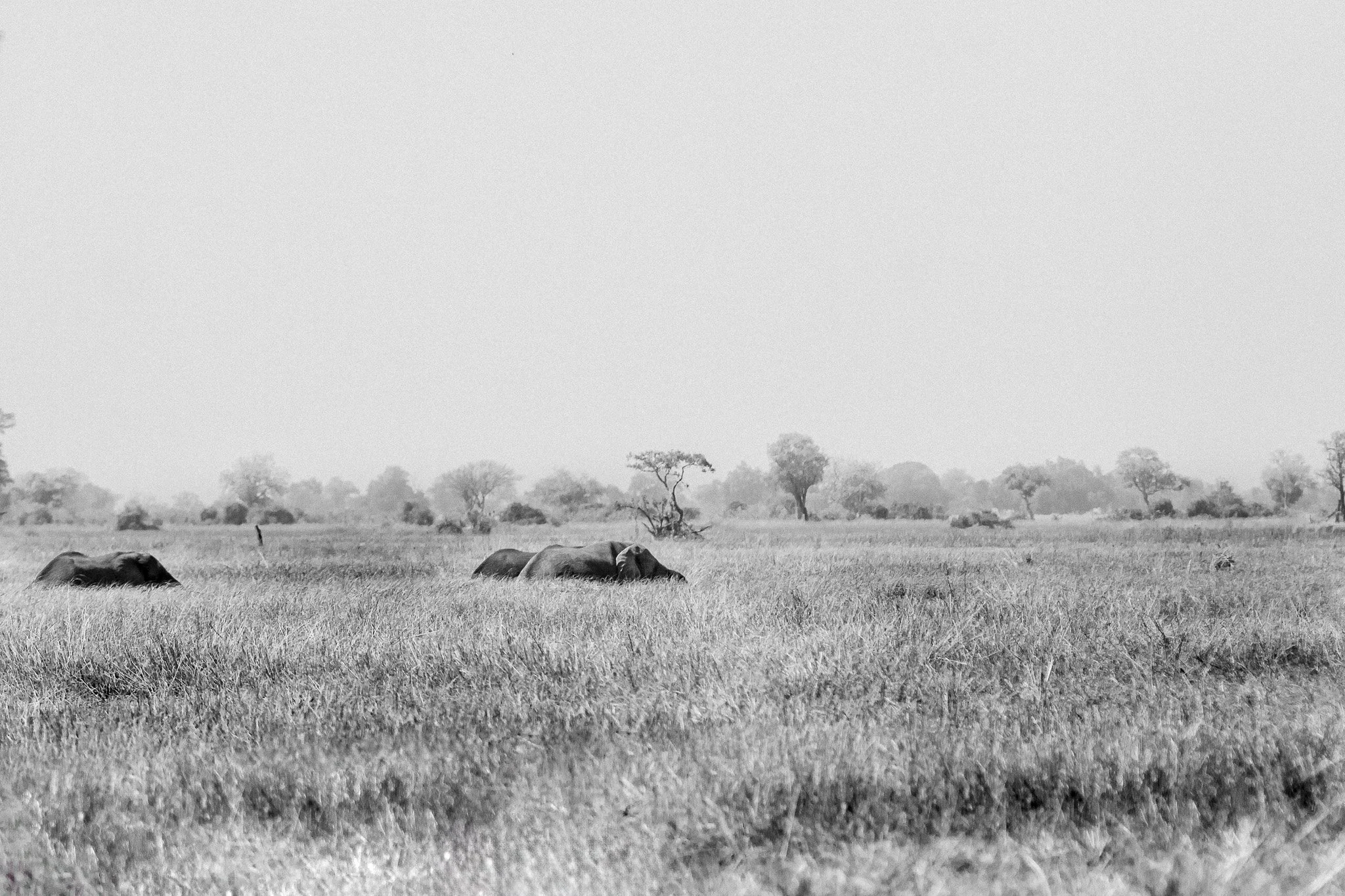 45.Delta del Okavango 9.jpg