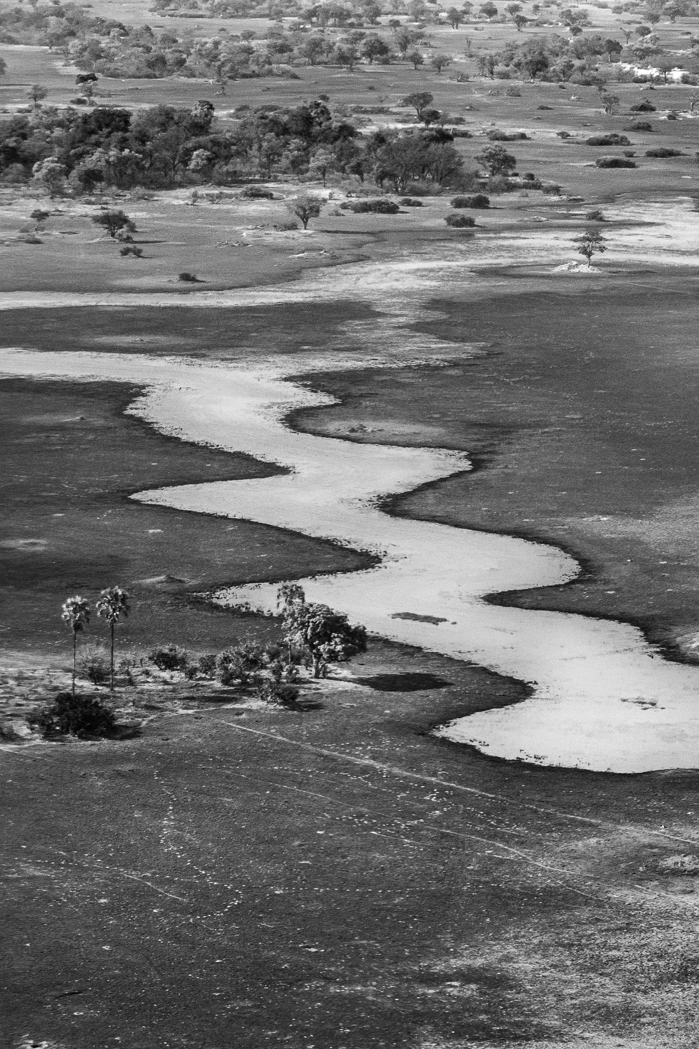64. Delta del Okavango 15.jpg