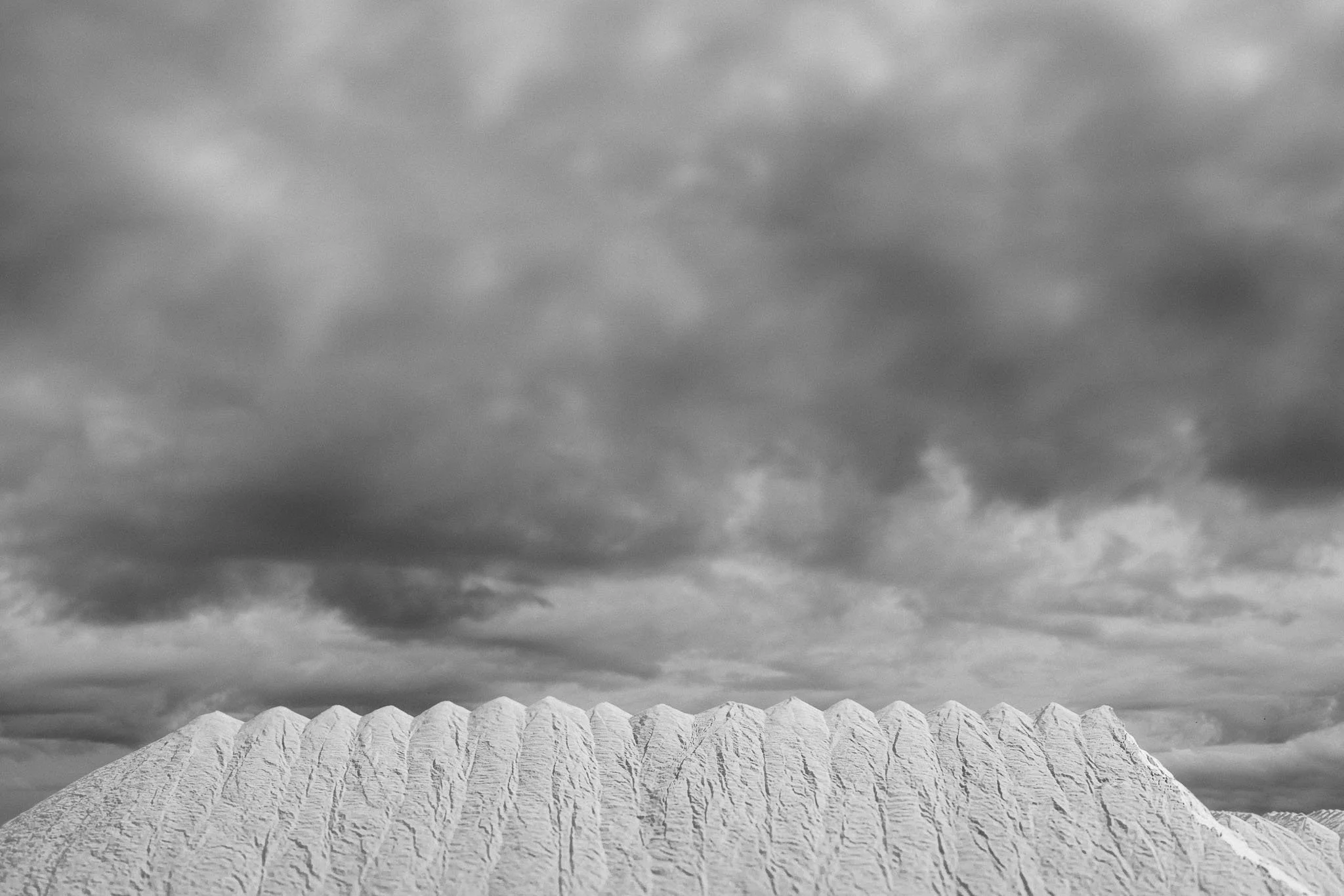 0009CG2_7179.jpg