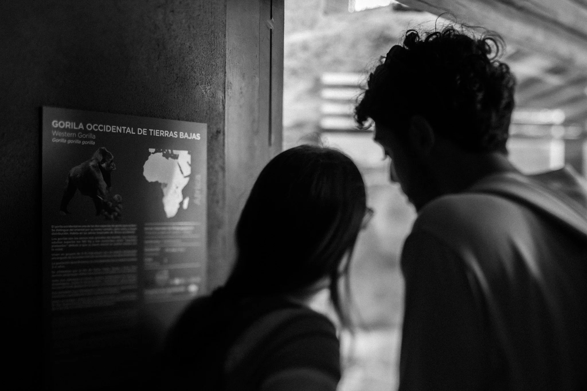 CG2_6911.jpg