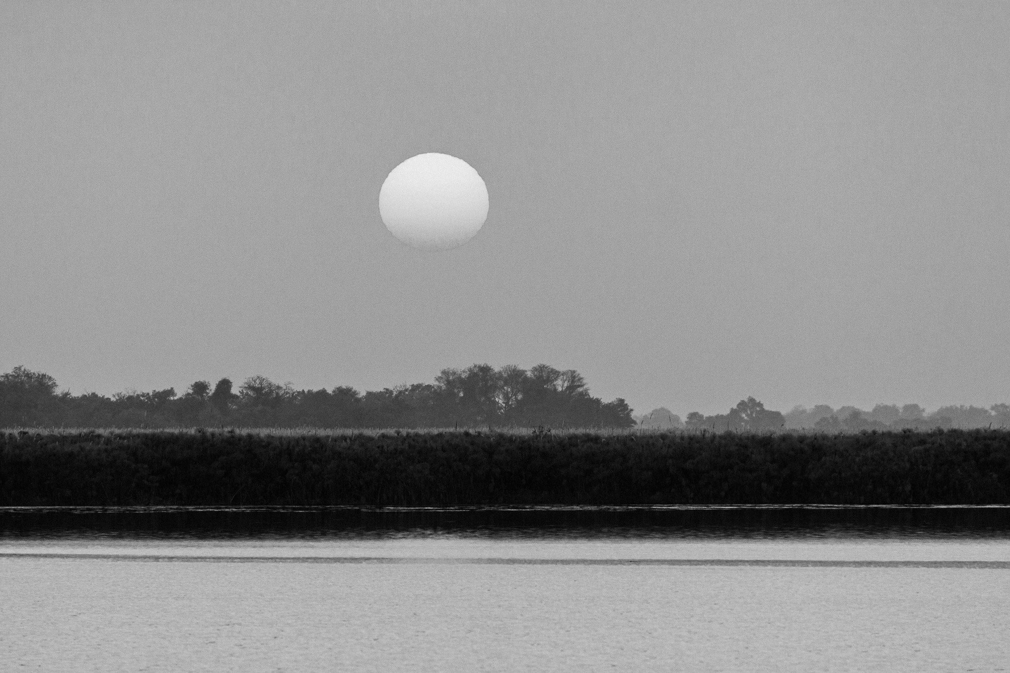 42. Delta del Okavango 8.jpg
