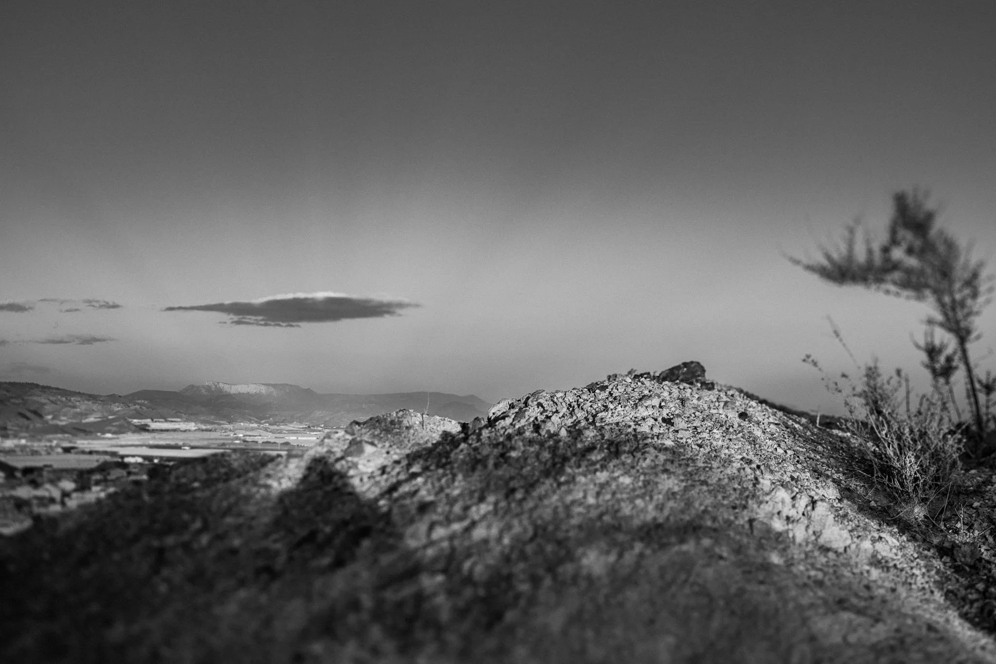 0019CG2_7294.jpg