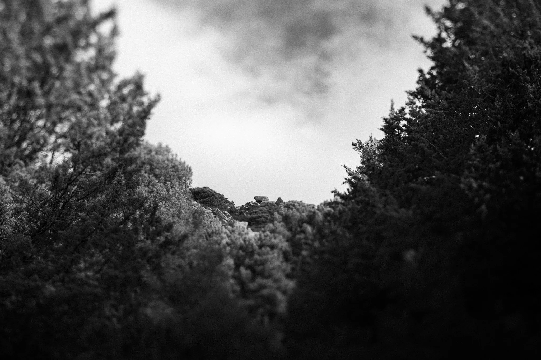 0004CG2_3860.jpg